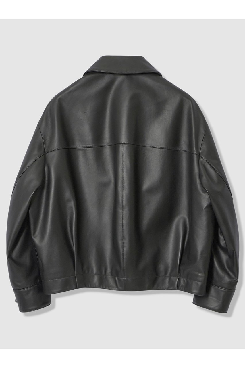 【アルアバイル/allureville】のレザーブルゾン 大人の最旬トレンドファッション＆コーディネート founy(ファウニー) 　ファッション　Fashion　レディースファッション　Fashion for Women　アウター　Coat / Outerwear Collection　レディースジャケット・軽アウター　Jackets　ブルゾンジャケット・スポーティアウター　Blouson Jackets　ジャケット　Jacket, Outerwear　ブルゾン　Blouson, Bomber Jacket　エレガント 上品　Elegant　other-2|ID: prp329100004892449 ipo3291000000036570710