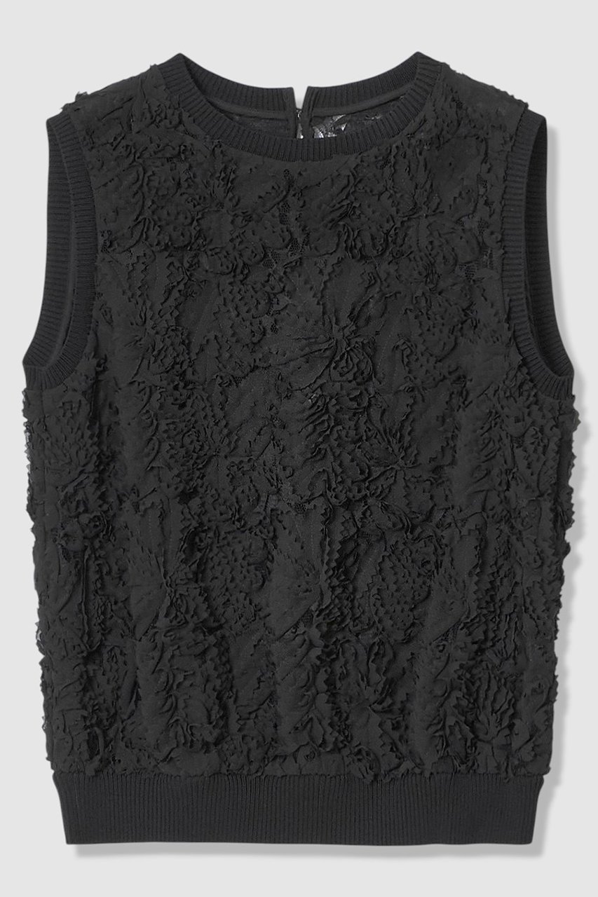 【アナイ/ANAYI】のテープエンブロイダリーリブ ブラウス インテリア・キッズ・メンズ・レディースファッション・服の通販 founy(ファニー) 　ファッション　Fashion　レディースファッション　Fashion for Women　トップス・カットソー　Cut & Sew Tops　キャミソール&ノースリーブ　Camisoles & Sleeveless Tops　シャツ・ブラウス・オフィスカジュアル　Elegant Blouses & Button-Ups　シフォン　Chiffon, Lightweight Fabric　シンプル　Simple, Minimal　ノースリーブ　Sleeveless, No-Sleeve　フェザー　Feather, Feather Detail　フラワー　Flower, Floral　モチーフ　Motif, Design Theme　リブニット　Rib Knit, Ribbed Knit　リュクス　Luxury, Elegant, High-End, Chic　レース　Lace, Lace Fabric　エレガント 上品　Elegant　ブラック|ID: prp329100004892897 ipo3291000000036574188