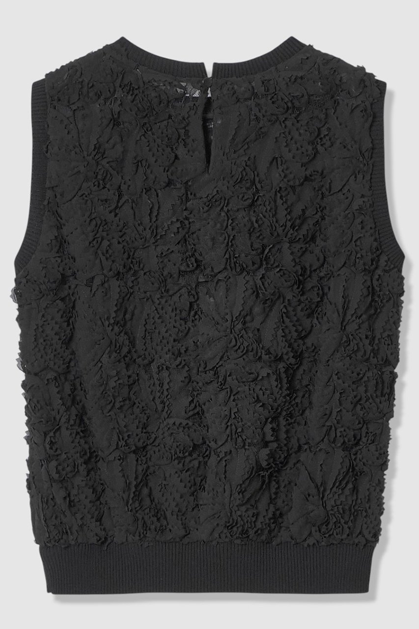 【アナイ/ANAYI】のテープエンブロイダリーリブ ブラウス 人気、トレンドファッション・服の通販 founy(ファニー) 　ファッション　Fashion　レディースファッション　Fashion for Women　トップス・カットソー　Cut & Sew Tops　キャミソール&ノースリーブ　Camisoles & Sleeveless Tops　シャツ・ブラウス・オフィスカジュアル　Elegant Blouses & Button-Ups　シフォン　Chiffon, Lightweight Fabric　シンプル　Simple, Minimal　ノースリーブ　Sleeveless, No-Sleeve　フェザー　Feather, Feather Detail　フラワー　Flower, Floral　モチーフ　Motif, Design Theme　リブニット　Rib Knit, Ribbed Knit　リュクス　Luxury, Elegant, High-End, Chic　レース　Lace, Lace Fabric　エレガント 上品　Elegant　other-2|ID: prp329100004892897 ipo3291000000036574189