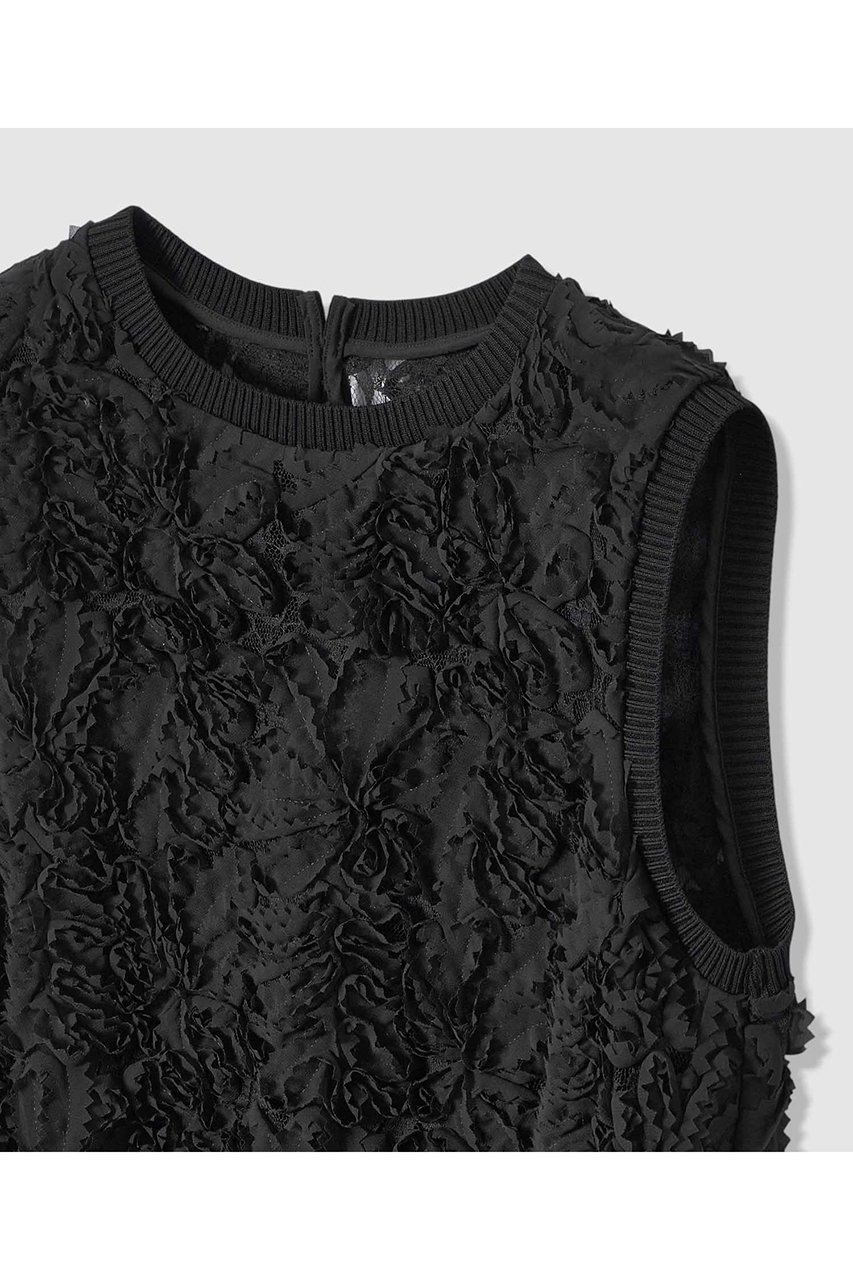 【アナイ/ANAYI】のテープエンブロイダリーリブ ブラウス 人気、トレンドファッション・服の通販 founy(ファニー) 　ファッション　Fashion　レディースファッション　Fashion for Women　トップス・カットソー　Cut & Sew Tops　キャミソール&ノースリーブ　Camisoles & Sleeveless Tops　シャツ・ブラウス・オフィスカジュアル　Elegant Blouses & Button-Ups　シフォン　Chiffon, Lightweight Fabric　シンプル　Simple, Minimal　ノースリーブ　Sleeveless, No-Sleeve　フェザー　Feather, Feather Detail　フラワー　Flower, Floral　モチーフ　Motif, Design Theme　リブニット　Rib Knit, Ribbed Knit　リュクス　Luxury, Elegant, High-End, Chic　レース　Lace, Lace Fabric　エレガント 上品　Elegant　other-3|ID: prp329100004892897 ipo3291000000036574190