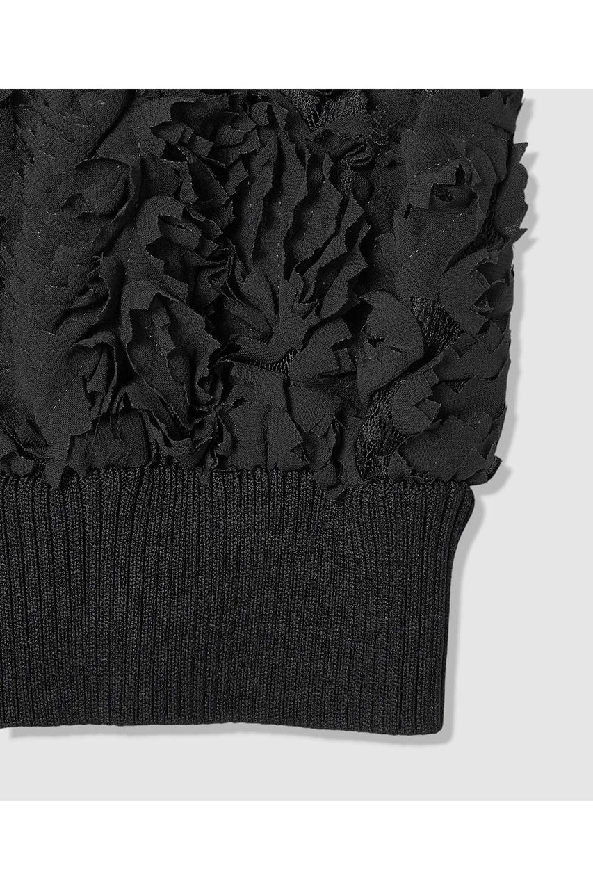 【アナイ/ANAYI】のテープエンブロイダリーリブ ブラウス 人気、トレンドファッション・服の通販 founy(ファニー) 　ファッション　Fashion　レディースファッション　Fashion for Women　トップス・カットソー　Cut & Sew Tops　キャミソール&ノースリーブ　Camisoles & Sleeveless Tops　シャツ・ブラウス・オフィスカジュアル　Elegant Blouses & Button-Ups　シフォン　Chiffon, Lightweight Fabric　シンプル　Simple, Minimal　ノースリーブ　Sleeveless, No-Sleeve　フェザー　Feather, Feather Detail　フラワー　Flower, Floral　モチーフ　Motif, Design Theme　リブニット　Rib Knit, Ribbed Knit　リュクス　Luxury, Elegant, High-End, Chic　レース　Lace, Lace Fabric　エレガント 上品　Elegant　other-4|ID: prp329100004892897 ipo3291000000036574191