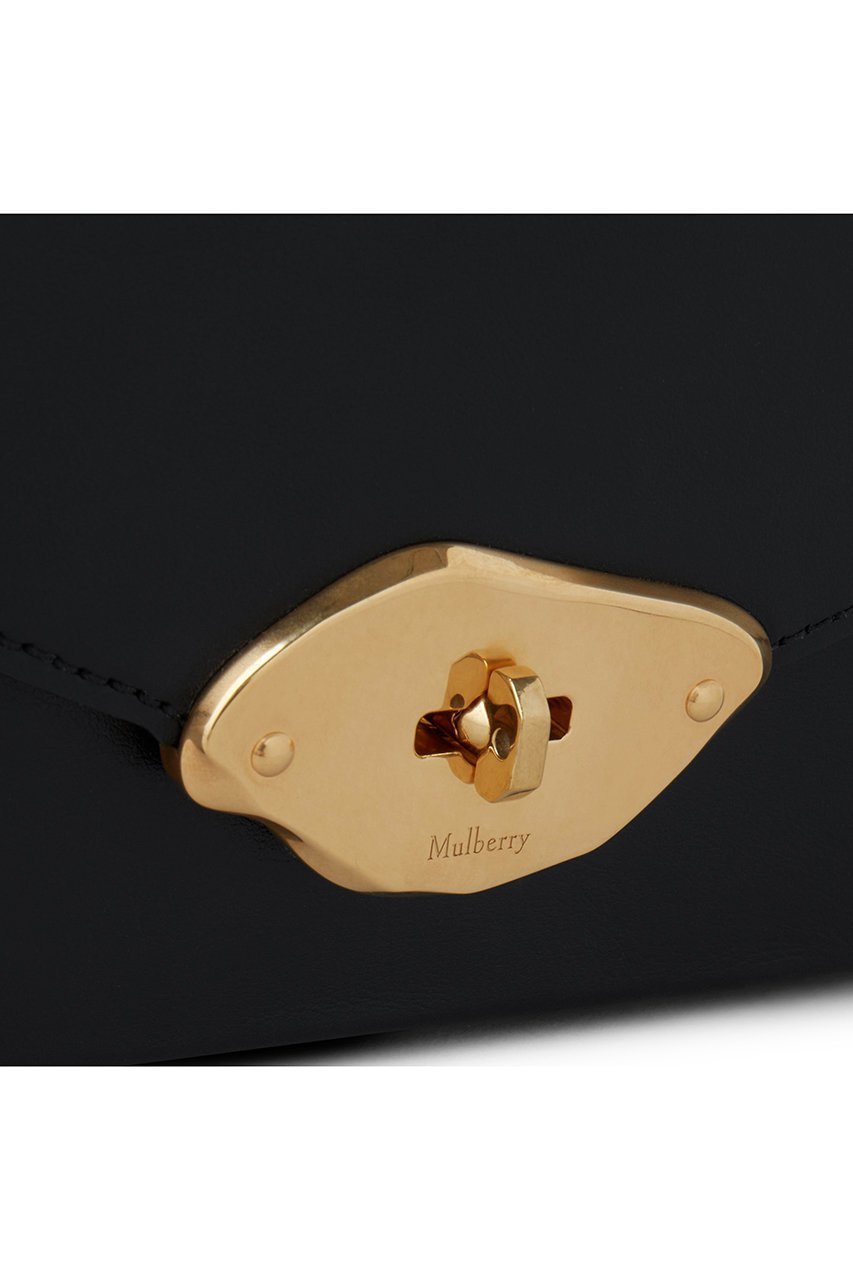 【マルベリー/Mulberry】のSMALL LANA TOP HANDLE 人気、トレンドファッション・服の通販 founy(ファニー) ファッション Fashion レディースファッション Fashion for Women バッグ Bags エレガント 上品 Elegant スタイリッシュ Stylish, Fashionable ポケット Pocket, Pocket Detail モダン Modern, Contemporary other-6|ID: prp329100004893418 ipo3291000000036578680