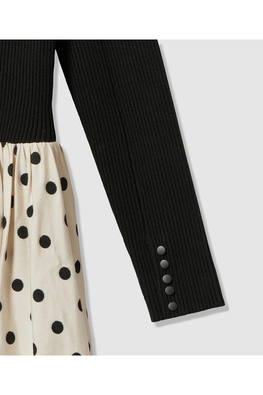 【アルアバイル/allureville】のドット柄ドッキングニットワンピース 人気、トレンドファッション・服の通販 founy(ファニー) 　ファッション　Fashion　レディースファッション　Fashion for Women　ワンピース　Dresses　ニットワンピース　Knit Dresses　チュニック　Tunic Tops & Dresses　クラシカル　Classical, Vintage-Inspired　チュニック　Tunic, Long Top　ドッキング　Docking, Mixed Material　ドット　Polka Dot, Dot Pattern　フィット　Fit, Slim Fit　ロング　Long, Long-Length　エレガント 上品　Elegant　無地　Plain, Solid Color　other-4|ID: prp329100004893550 ipo3291000000036579708