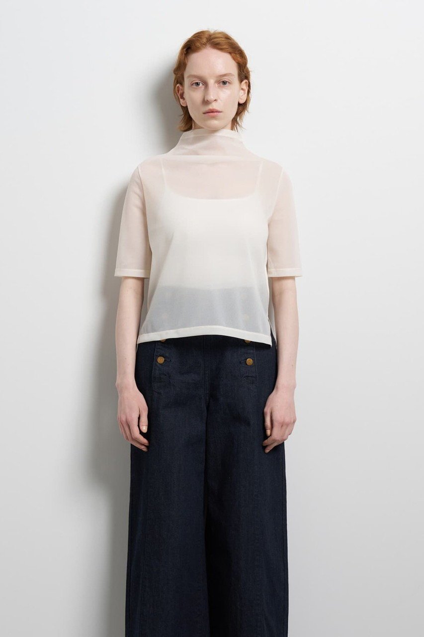 【ランバン オン ブルー/LANVIN en Bleu】のシアーハーフスリーブカットソー 人気、トレンドファッション・服の通販 founy(ファニー) 　ファッション　Fashion　レディースファッション　Fashion for Women　トップス・カットソー　Cut & Sew Tops　シャツ・ブラウス・オフィスカジュアル　Elegant Blouses & Button-Ups　ロングTシャツ・Tシャツ　Longline T-Shirts & Tees　カットソー・ベーシックTシャツ　Cut-and-Sewn Tops / Stretch Tees & Basics　ショート　Short, Short Length　シンプル　Simple, Minimal　ジョーゼット　Georgette, Semi-Sheer Fabric　スリット　Slit, Slit Detail　スリーブ　Sleeve, Long Sleeve / Short Sleeve　ドレープ　Drape, Draping Fabric　ハイネック　High Neck, Mock Neck　ファブリック　Fabric, Textile　エレガント 上品　Elegant　再入荷　Restock / Back in Stock　other-6|ID: prp329100004894598 ipo3291000000036588631