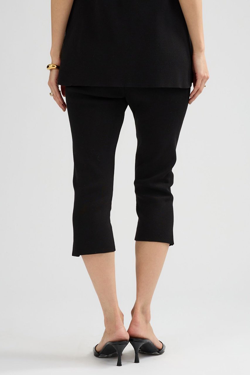 【カオス/Chaos】のシルクコンハーフレギンス 人気、トレンドファッション・服の通販 founy(ファニー) 　ファッション　Fashion　レディースファッション　Fashion for Women　パンツ　Pants & Trousers　ショートパンツ・ハーフパンツ　High-Waisted & Relaxed Shorts　レギンス　Leggings & Stretch Pants　ショート　Short, Short Length　シルク　Silk, 100% Silk　ジャケット　Jacket, Outerwear　ストレッチ　Stretch, Stretchy Fabric　スポーティ　Sporty, Casual Athletic　スリット　Slit, Slit Detail　ツイスト　Tweed, Tweed Fabric　人気　Popular, Best Seller　マニッシュ　Mannish, Boyish　レギンス　Leggings, Stretch Pants　おすすめ　Recommended / Our Picks　エレガント 上品　Elegant　新作・新入荷　New Arrivals / New In　other-8|ID: prp329100004895711 ipo3291000000036600224