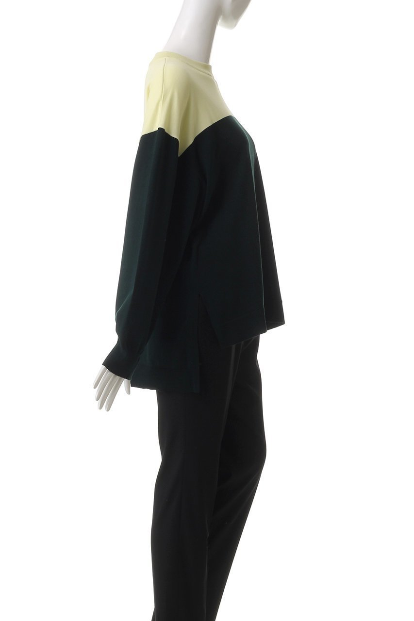 【ナゴンスタンス/nagonstans】のBi-color P.O/プルオーバー 人気、トレンドファッション・服の通販 founy(ファニー) 　ファッション　Fashion　レディースファッション　Fashion for Women　トップス・カットソー　Cut & Sew Tops　シャツ・ブラウス・オフィスカジュアル　Elegant Blouses & Button-Ups　ロングTシャツ・Tシャツ　Longline T-Shirts & Tees　カジュアルプルオーバー・ニットトップス　Pullovers & Knit Tops / Casual Pullovers　カットソー・ベーシックTシャツ　Cut-and-Sewn Tops / Stretch Tees & Basics　スリット　Slit, Slit Detail　スリーブ　Sleeve, Long Sleeve / Short Sleeve　ルーズ　Loose, Oversized　ロング　Long, Long-Length　other-3|ID: prp329100004898924 ipo3291000000036650958