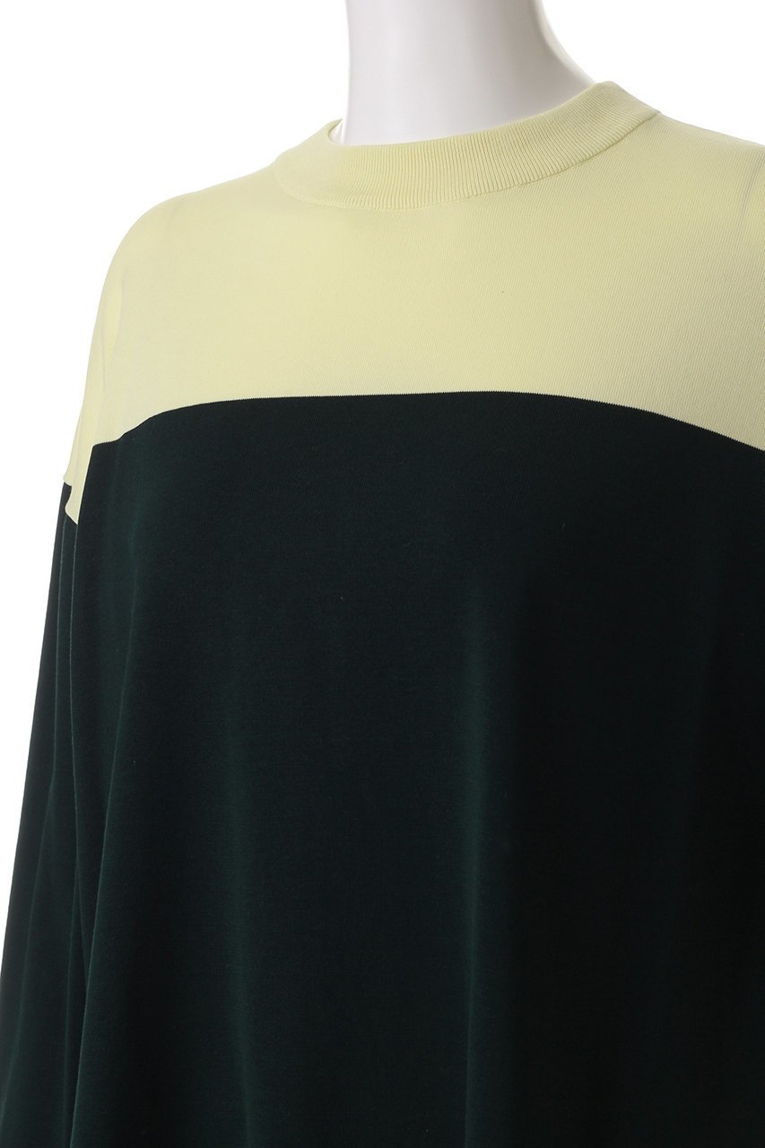 【ナゴンスタンス/nagonstans】のBi-color P.O/プルオーバー 人気、トレンドファッション・服の通販 founy(ファニー) 　ファッション　Fashion　レディースファッション　Fashion for Women　トップス・カットソー　Cut & Sew Tops　シャツ・ブラウス・オフィスカジュアル　Elegant Blouses & Button-Ups　ロングTシャツ・Tシャツ　Longline T-Shirts & Tees　カジュアルプルオーバー・ニットトップス　Pullovers & Knit Tops / Casual Pullovers　カットソー・ベーシックTシャツ　Cut-and-Sewn Tops / Stretch Tees & Basics　スリット　Slit, Slit Detail　スリーブ　Sleeve, Long Sleeve / Short Sleeve　ルーズ　Loose, Oversized　ロング　Long, Long-Length　other-5|ID: prp329100004898924 ipo3291000000036650960