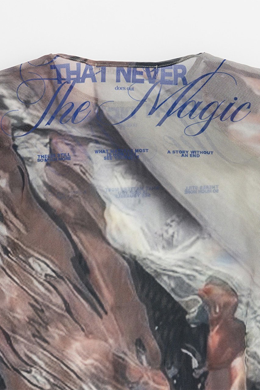 【プランク プロジェクト/PRANK PROJECT】のマルチプリントチュールボディスーツ / Multi Printed Tulle Bodysuit 人気、トレンドファッション・服の通販 founy(ファニー) 　ファッション　Fashion　レディースファッション　Fashion for Women　トップス・カットソー　Cut & Sew Tops　シャツ・ブラウス・オフィスカジュアル　Elegant Blouses & Button-Ups　ロングTシャツ・Tシャツ　Longline T-Shirts & Tees　カットソー・ベーシックTシャツ　Cut-and-Sewn Tops / Stretch Tees & Basics　グラフィック　Graphic, Graphic Design　ショート　Short, Short Length　スリーブ　Sleeve, Long Sleeve / Short Sleeve　プリント　Print, Printed Pattern　other-5|ID: prp329100004900399 ipo3291000000036666483