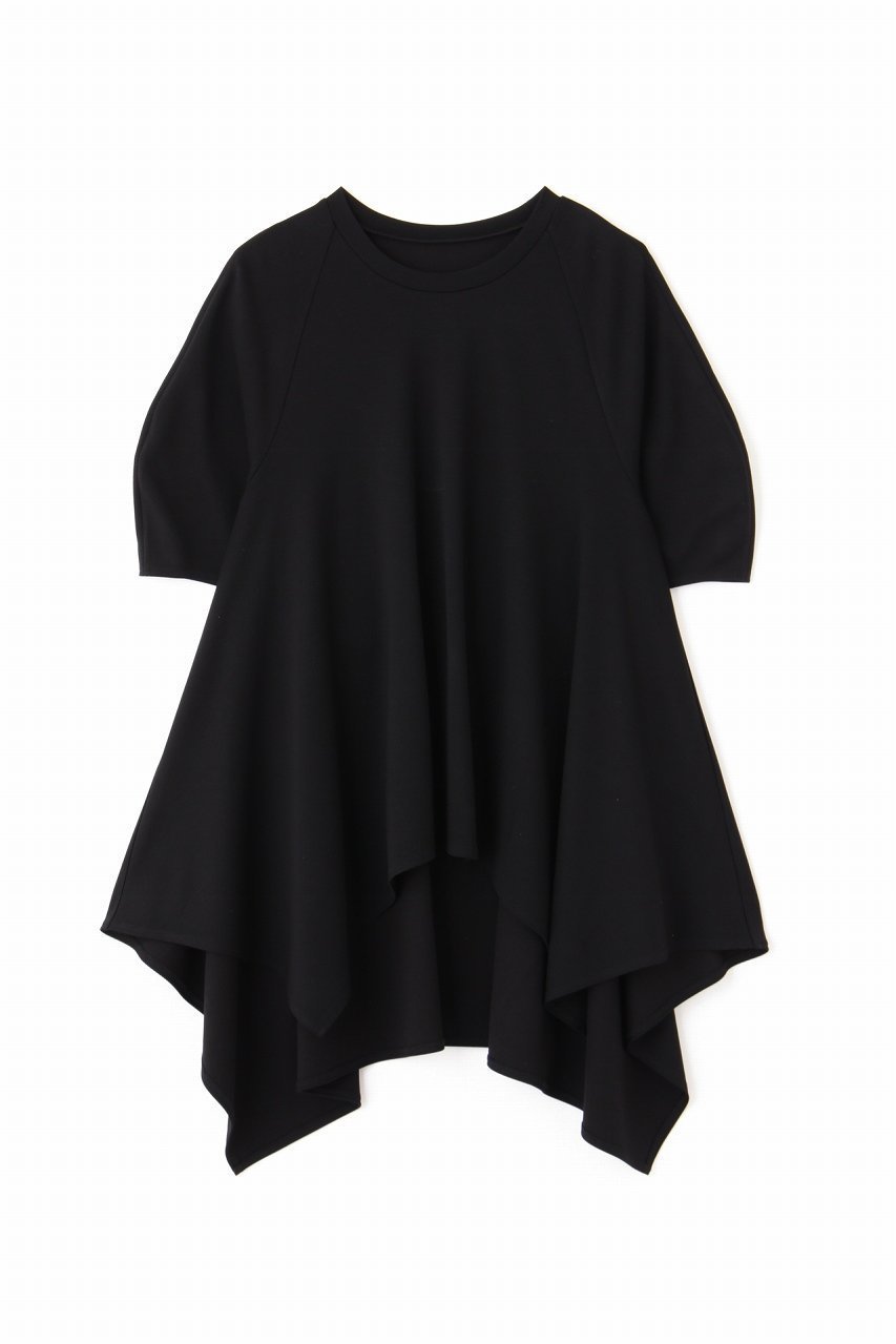 【アドーア/ADORE】のコンパクトポンチカットソー インテリア・キッズ・メンズ・レディースファッション・服の通販 founy(ファニー) 　ファッション　Fashion　レディースファッション　Fashion for Women　トップス・カットソー　Cut & Sew Tops　シャツ・ブラウス・オフィスカジュアル　Elegant Blouses & Button-Ups　ロングTシャツ・Tシャツ　Longline T-Shirts & Tees　カットソー・ベーシックTシャツ　Cut-and-Sewn Tops / Stretch Tees & Basics　コンパクト　Compact, Small Size　ショート　Short, Short Length　シンプル　Simple, Minimal　スリーブ　Sleeve, Long Sleeve / Short Sleeve　ブラック|ID: prp329100004901394 ipo3291000000036677203