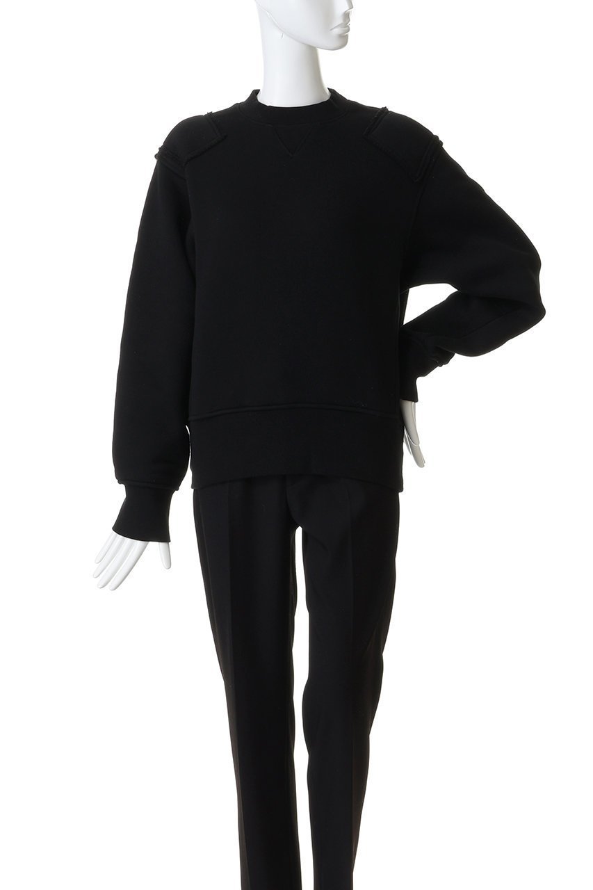 【フェニックス/Phenix】のSWEAT SHIRTS TYPE P-001 人気、トレンドファッション・服の通販 founy(ファニー) 　ファッション　Fashion　レディースファッション　Fashion for Women　トップス・カットソー　Cut & Sew Tops　シャツ・ブラウス・オフィスカジュアル　Elegant Blouses & Button-Ups　レディースパーカー・カジュアルフーディー　Casual Hoodies & Sweatshirts　ロングTシャツ・Tシャツ　Longline T-Shirts & Tees　スウェット・クルーネックトップス　Sweatshirts & Crewnecks / Relaxed Fit Sweat Tops　スポーツウェア　Functional & Stylish Sportswear　スポーツ トップス　Athletic Tops / Workout Tops / Training Shirts　コレクション　Collection, Seasonal Line　スポーツ　Sports, Activewear　セーター　Sweater, Knitwear　プリーツ　Pleats, Pleated　other-2|ID: prp329100004901406 ipo3291000000036677332