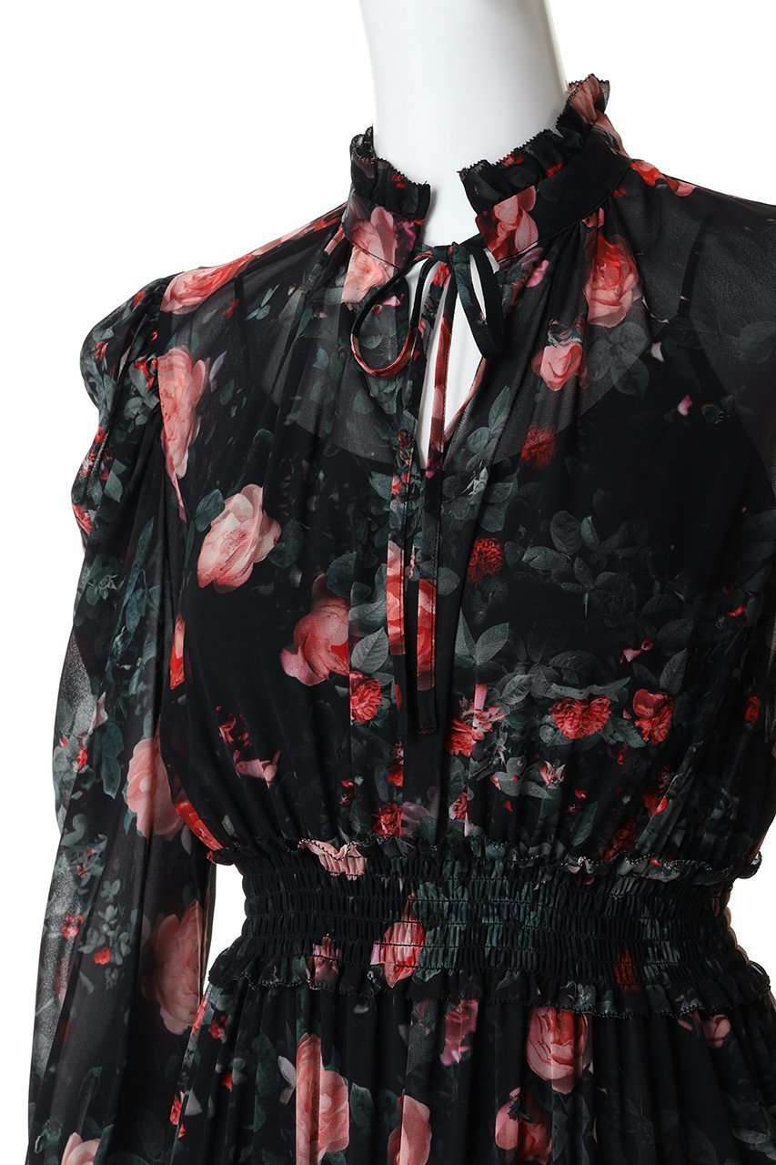 【コルコバード/CORCOVADO】のローザシフォンドレス 人気、トレンドファッション・服の通販 founy(ファニー) 　ファッション　Fashion　レディースファッション　Fashion for Women　ワンピース　Dresses　フォーマル・パーティードレス・結婚式用ドレス　Elegant & Casual Dresses　チュニック　Tunic Tops & Dresses　シフォン　Chiffon, Lightweight Fabric　チュニック　Tunic, Long Top　ドレス　Dress, One-Piece　プリント　Print, Printed Pattern　ローズ　Rose, Rose Motif　other-5|ID: prp329100004901556 ipo3291000000036678942