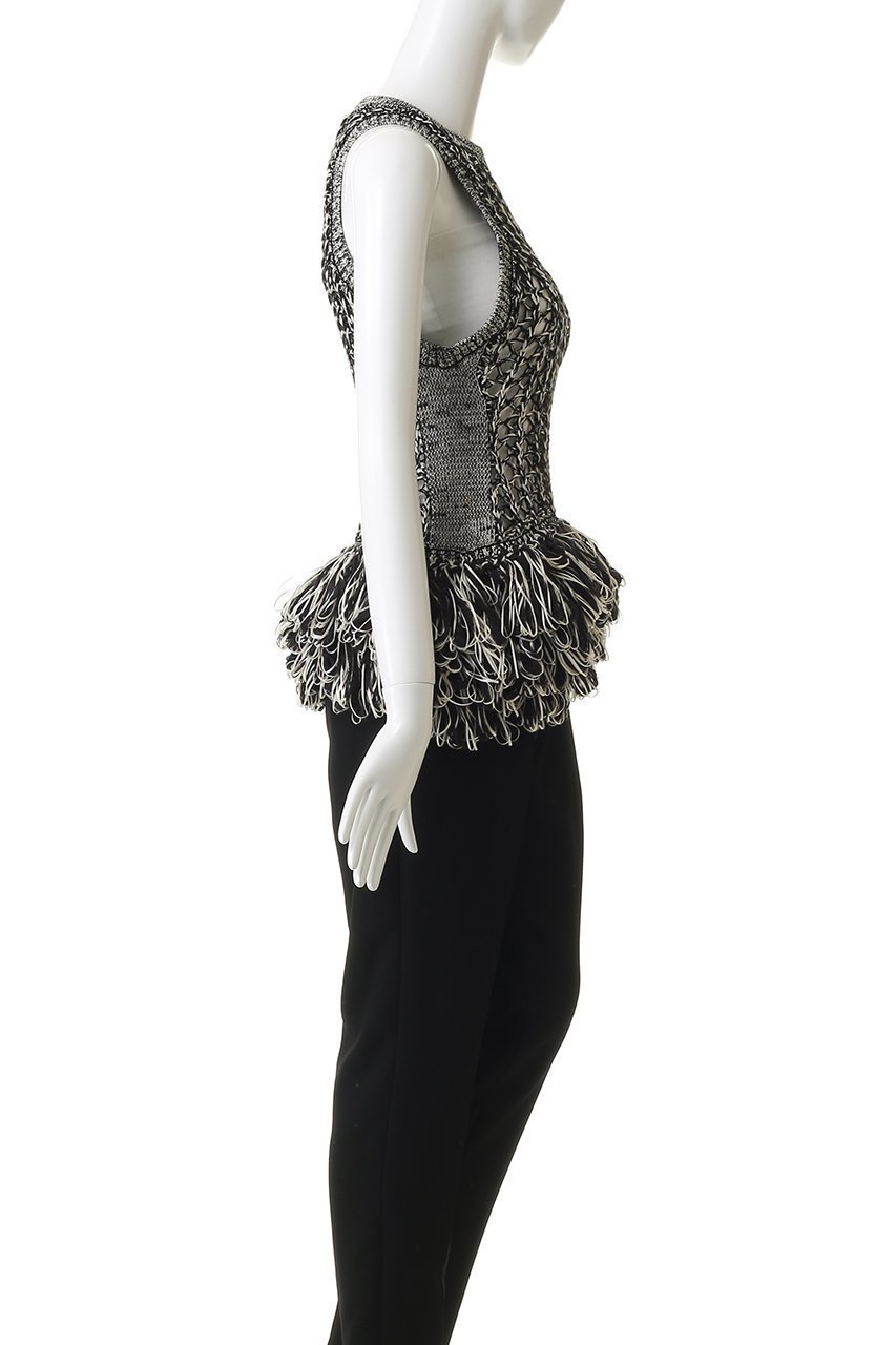 【メゾンスペシャル/MAISON SPECIAL】のFringe Mesh Vest/フリンジメッシュベスト 人気、トレンドファッション・服の通販 founy(ファニー) 　ファッション　Fashion　レディースファッション　Fashion for Women　アウター　Coat / Outerwear Collection　トップス・カットソー　Cut & Sew Tops　キャミソール&ノースリーブ　Camisoles & Sleeveless Tops　シャツ・ブラウス・オフィスカジュアル　Elegant Blouses & Button-Ups　ベスト&ジレ / 重ね着スタイル　Vests & Gilets　インナー　Innerwear　クロシェ　Crochet, Knitted Lace　シアー　Sheer, See-Through　手編み　Hand-Knitted, Handmade Knit　ノースリーブ　Sleeveless, No-Sleeve　フリンジ　Fringe, Tassel　ベスト　Vest, Waistcoat　メッシュ　Mesh, Net Fabric　おすすめ　Recommended / Our Picks　other-3|ID: prp329100004901765 ipo3291000000036711744