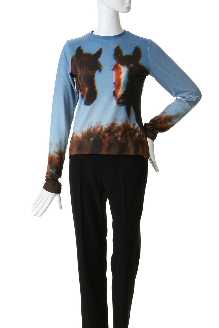 【メゾンスペシャル/MAISON SPECIAL】のTwin Horse Skin Top/ツインホーススキントップ 人気、トレンドファッション・服の通販 founy(ファニー) 　ファッション　Fashion　レディースファッション　Fashion for Women　トップス・カットソー　Cut & Sew Tops　シャツ・ブラウス・オフィスカジュアル　Elegant Blouses & Button-Ups　ロングTシャツ・Tシャツ　Longline T-Shirts & Tees　カットソー・ベーシックTシャツ　Cut-and-Sewn Tops / Stretch Tees & Basics　インナー　Innerwear　スリーブ　Sleeve, Long Sleeve / Short Sleeve　フィット　Fit, Slim Fit　プリント　Print, Printed Pattern　ロング　Long, Long-Length　other-2|ID: prp329100004901847 ipo3291000000036711951