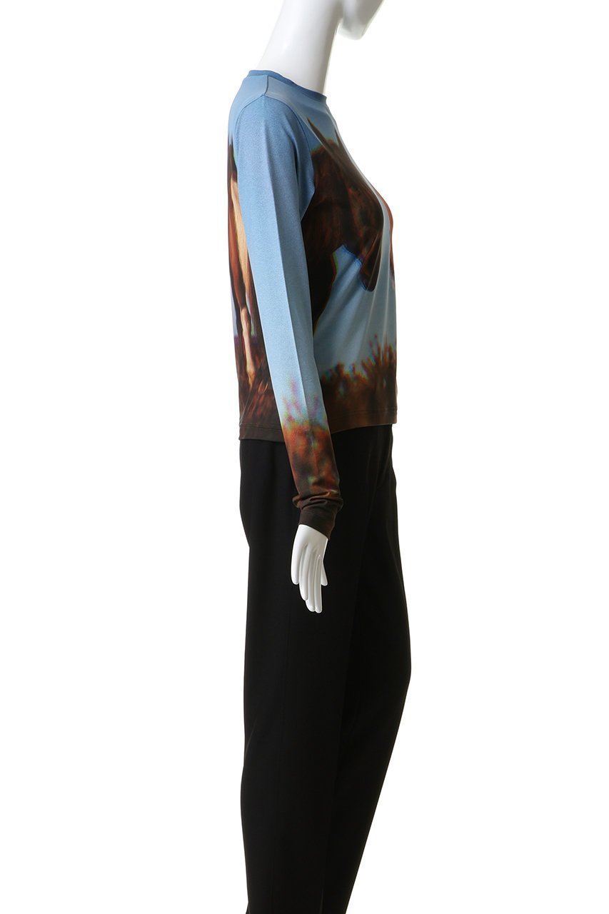 【メゾンスペシャル/MAISON SPECIAL】のTwin Horse Skin Top/ツインホーススキントップ 人気、トレンドファッション・服の通販 founy(ファニー) 　ファッション　Fashion　レディースファッション　Fashion for Women　トップス・カットソー　Cut & Sew Tops　シャツ・ブラウス・オフィスカジュアル　Elegant Blouses & Button-Ups　ロングTシャツ・Tシャツ　Longline T-Shirts & Tees　カットソー・ベーシックTシャツ　Cut-and-Sewn Tops / Stretch Tees & Basics　インナー　Innerwear　スリーブ　Sleeve, Long Sleeve / Short Sleeve　フィット　Fit, Slim Fit　プリント　Print, Printed Pattern　ロング　Long, Long-Length　other-3|ID: prp329100004901847 ipo3291000000036711952