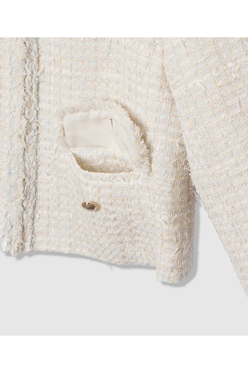 【アナイ/ANAYI】の【Eternal Line 2026】ミックスツイードノーカラー ジャケット 人気、トレンドファッション・服の通販 founy(ファニー) ファッション Fashion レディースファッション Fashion for Women アウター Coat / Outerwear Collection レディースジャケット・軽アウター Jackets ノーカラージャケット / シンプル上品コーデ Collarless Jackets コンパクト Compact, Small Size ジャケット Jacket, Outerwear セットアップ Set-Up, Coordinated Outfit ツイード Twill, Twill Weave ブレード Braid, Decorative Trim ミックス Mix, Mixed Style おすすめ Recommended / Our Picks エレガント 上品 Elegant セレモニー Ceremony other-4|ID: prp329100004902553 ipo3291000000036689613