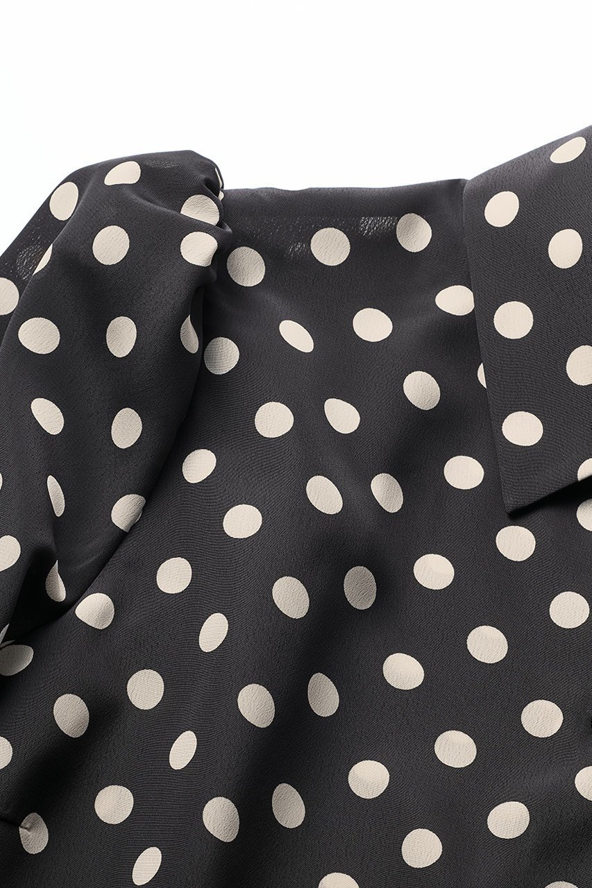 【デイジーリン/DAISY LIN】のBlouse “Dots Lady” 人気、トレンドファッション・服の通販 founy(ファニー) 　ファッション　Fashion　レディースファッション　Fashion for Women　トップス・カットソー　Cut & Sew Tops　シャツ・ブラウス・オフィスカジュアル　Elegant Blouses & Button-Ups　おすすめ　Recommended / Our Picks　ウォッシャブル　Machine Washable　エレガント 上品　Elegant　シルク　Silk, 100% Silk　スリーブ　Sleeve, Long Sleeve / Short Sleeve　ドット　Polka Dot, Dot Pattern　モダン　Modern, Contemporary　ロング　Long, Long-Length　人気　Popular, Best Seller　other-3|ID: prp329100004902749 ipo3291000000036691602