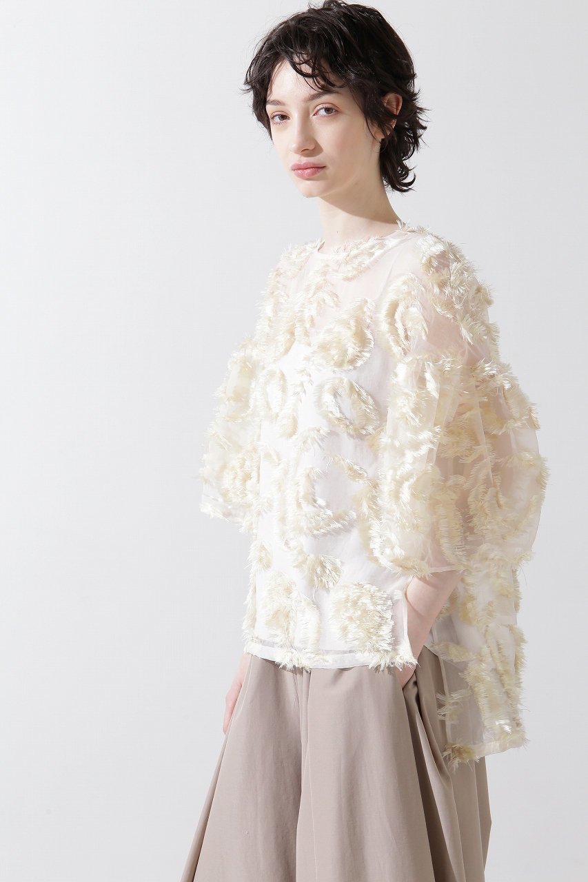 【ヒューエルミュージアム/hueLe Museum】の【hLM】シアーカットジャガードブラウス インテリア・キッズ・メンズ・レディースファッション・服の通販 founy(ファニー) ファッション Fashion レディースファッション Fashion for Women トップス・カットソー Cut & Sew Tops シャツ・ブラウス・オフィスカジュアル Elegant Blouses & Button-Ups エレガント 上品 Elegant オーガンジー Organza Fabric ショート Short, Short Length シンプル Simple, Minimal スリーブ Sleeve, Long Sleeve / Short Sleeve モチーフ Motif, Design Theme リボン Ribbon, Bow ベージュ|ID: prp329100004902753 ipo3291000000036691629