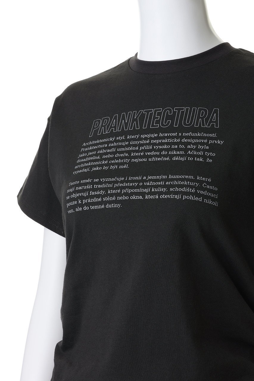 【プランク プロジェクト/PRANK PROJECT】のカットシンメプリントT 人気、トレンドファッション・服の通販 founy(ファニー) 　ファッション　Fashion　レディースファッション　Fashion for Women　トップス・カットソー　Cut & Sew Tops　シャツ・ブラウス・オフィスカジュアル　Elegant Blouses & Button-Ups　ロングTシャツ・Tシャツ　Longline T-Shirts & Tees　カットソー・ベーシックTシャツ　Cut-and-Sewn Tops / Stretch Tees & Basics　グラフィック　Graphic, Graphic Design　ショート　Short, Short Length　スリーブ　Sleeve, Long Sleeve / Short Sleeve　ドレス　Dress, One-Piece　プリント　Print, Printed Pattern　other-5|ID: prp329100004902819 ipo3291000000036692995