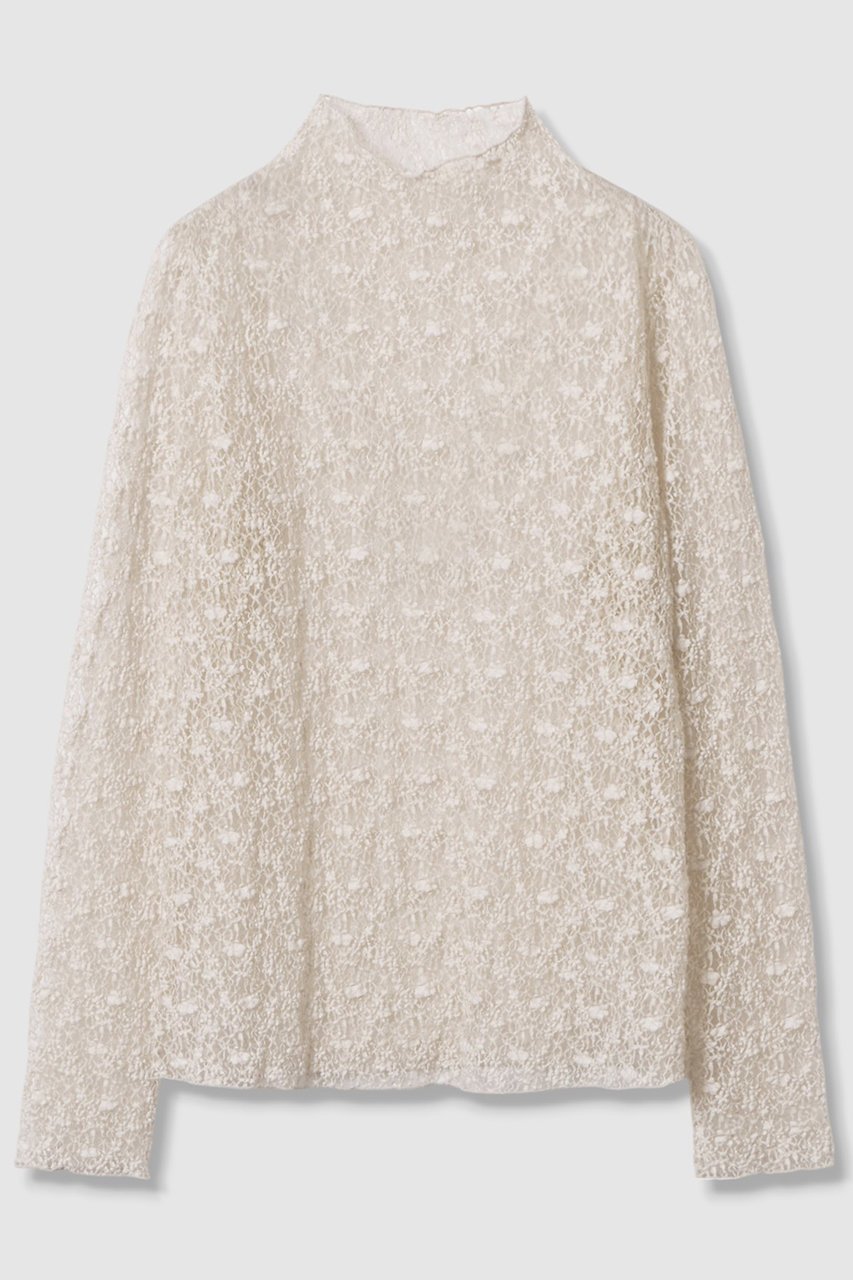 【アナイ/ANAYI】のストレッチレースモックネック プルオーバー インテリア・キッズ・メンズ・レディースファッション・服の通販 founy(ファニー) 　ファッション　Fashion　レディースファッション　Fashion for Women　トップス・カットソー　Cut & Sew Tops　シャツ・ブラウス・オフィスカジュアル　Elegant Blouses & Button-Ups　ロングTシャツ・Tシャツ　Longline T-Shirts & Tees　カジュアルプルオーバー・ニットトップス　Pullovers & Knit Tops / Casual Pullovers　カットソー・ベーシックTシャツ　Cut-and-Sewn Tops / Stretch Tees & Basics　おすすめ　Recommended / Our Picks　インナー　Innerwear　エアリー　Airy Texture　シアー　Sheer, See-Through　ジャケット　Jacket, Outerwear　スリーブ　Sleeve, Long Sleeve / Short Sleeve　フラワー　Flower, Floral　モチーフ　Motif, Design Theme　ロング　Long, Long-Length　再入荷　Restock / Back in Stock　ライトベージュ|ID: prp329100004902980 ipo3291000000036694784