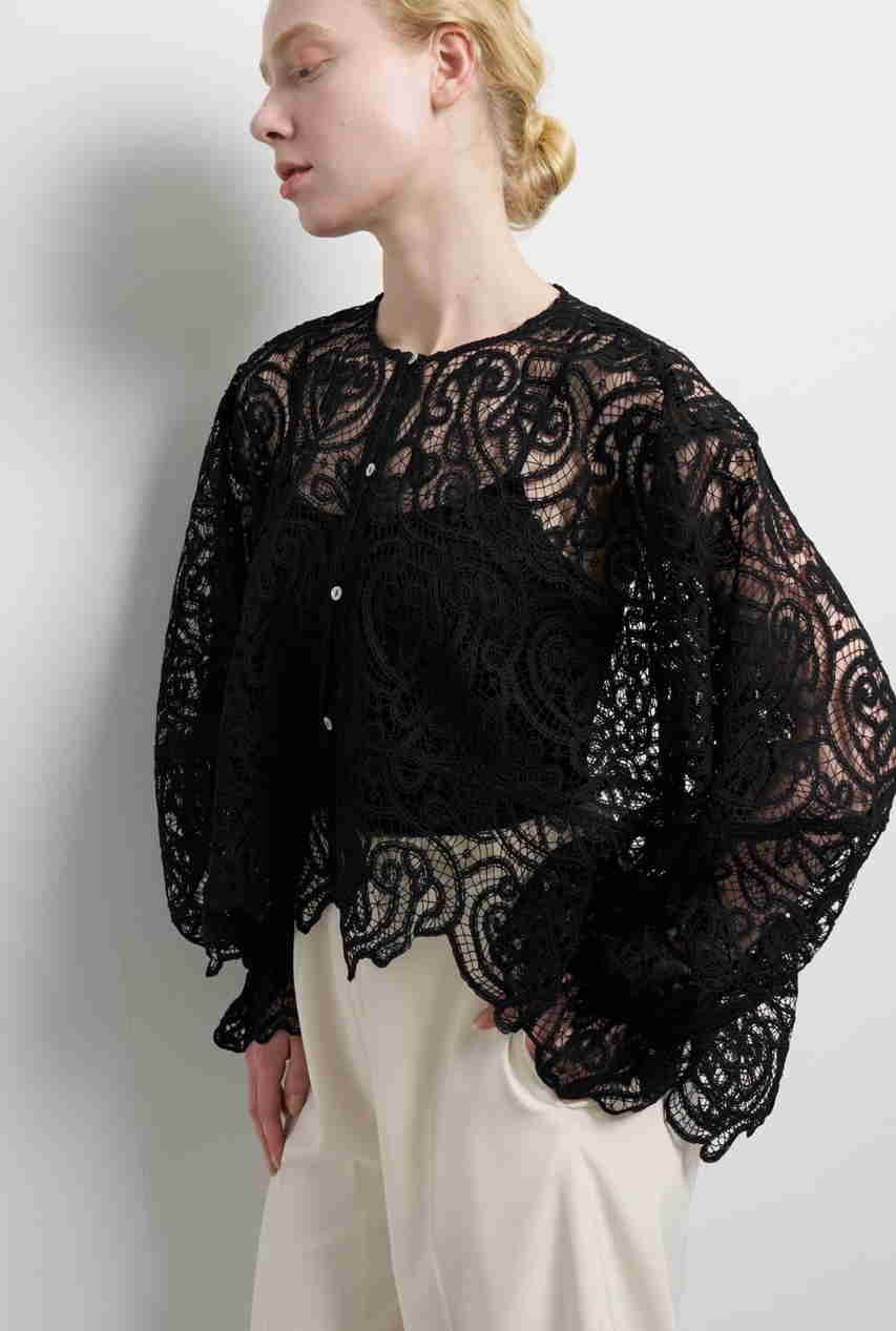 【ランバン オン ブルー/LANVIN en Bleu】のケミカルレースフレアブラウス 人気、トレンドファッション・服の通販 founy(ファニー) 　ファッション　Fashion　レディースファッション　Fashion for Women　トップス・カットソー　Cut & Sew Tops　シャツ・ブラウス・オフィスカジュアル　Elegant Blouses & Button-Ups　ケミカル　Chemical, Chemical Wash　スリーブ　Sleeve, Long Sleeve / Short Sleeve　フリル　Frill, Ruffle　フレア　Flare, Flared　フロント　Front, Front Design　モダン　Modern, Contemporary　レース　Lace, Lace Fabric　ロング　Long, Long-Length　other-6|ID: prp329100004903040 ipo3291000000036695369