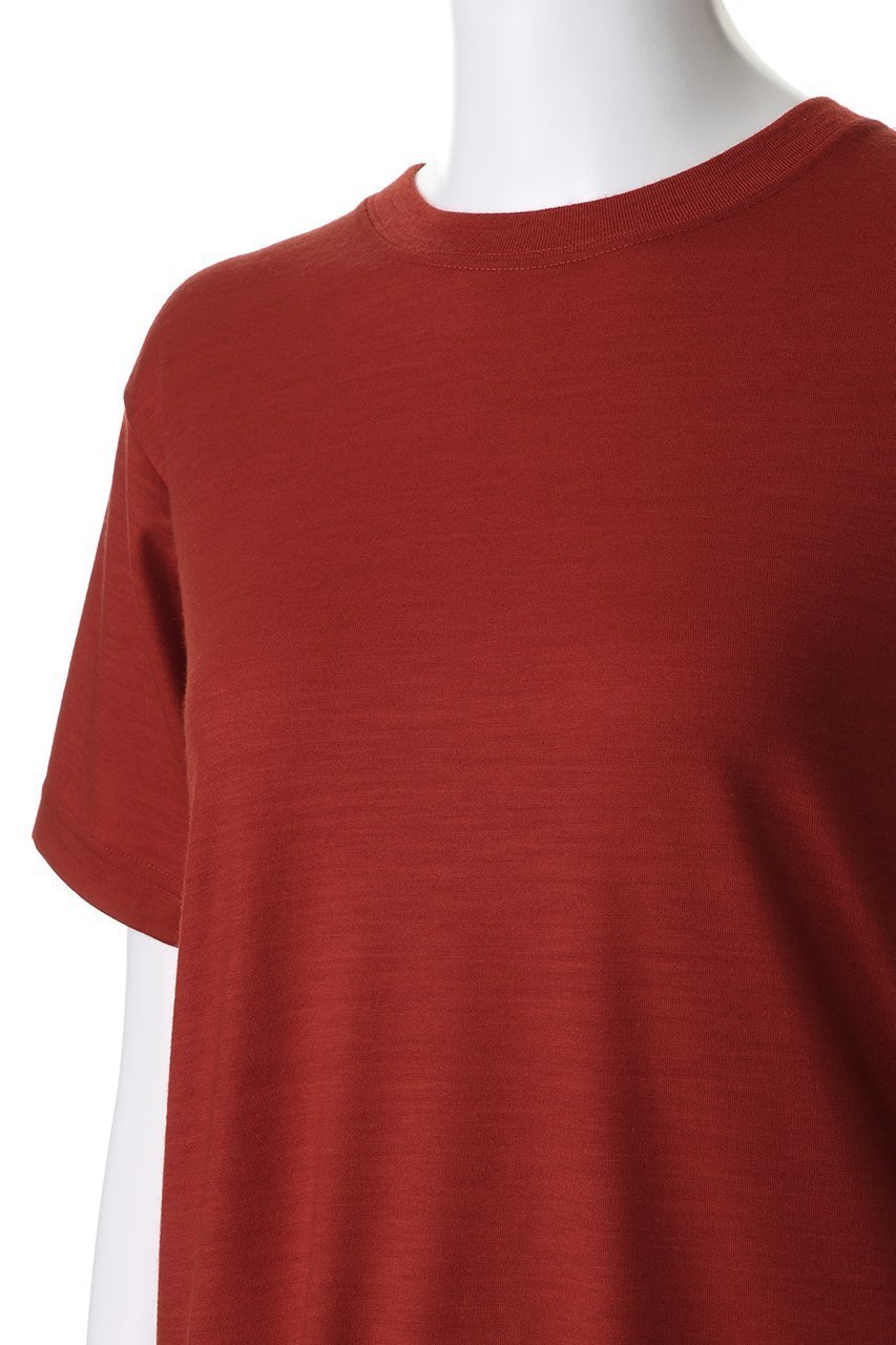 【フジ/FUJI】のWOOL S/S T-SHIRT 人気、トレンドファッション・服の通販 founy(ファニー) 　ファッション　Fashion　レディースファッション　Fashion for Women　トップス・カットソー　Cut & Sew Tops　シャツ・ブラウス・オフィスカジュアル　Elegant Blouses & Button-Ups　ロングTシャツ・Tシャツ　Longline T-Shirts & Tees　カットソー・ベーシックTシャツ　Cut-and-Sewn Tops / Stretch Tees & Basics　インナー　Innerwear　ショート　Short, Short Length　ジャケット　Jacket, Outerwear　スリーブ　Sleeve, Long Sleeve / Short Sleeve　ロング　Long, Long-Length　エレガント 上品　Elegant　夏　Summer　新作・新入荷　New Arrivals / New In　S/S・春夏　SS, Spring/Summer, Warm Season　other-5|ID: prp329100004903848 ipo3291000000036704540