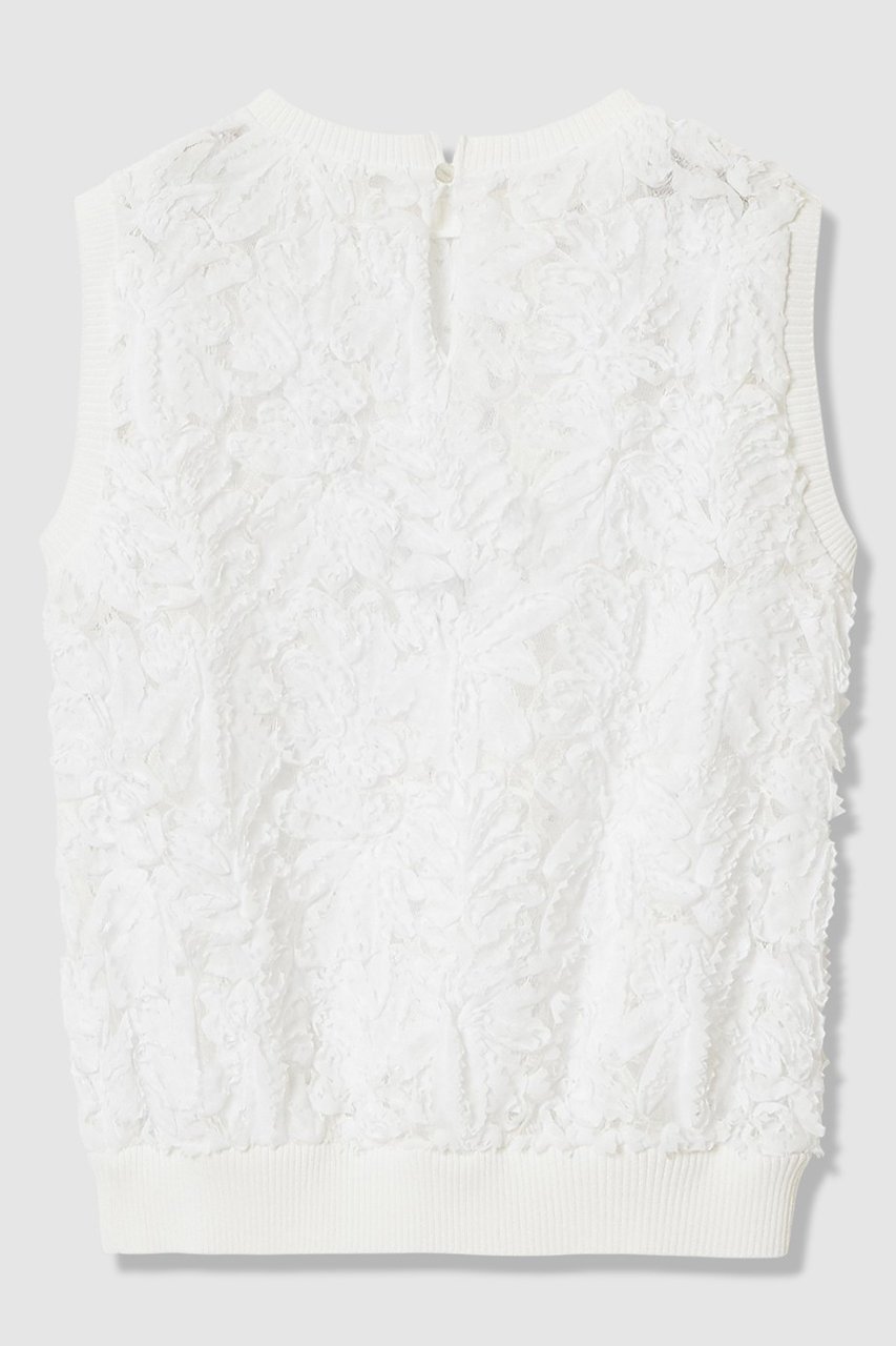 【アナイ/ANAYI】のテープエンブロイダリーリブ ブラウス 人気、トレンドファッション・服の通販 founy(ファニー) 　ファッション　Fashion　レディースファッション　Fashion for Women　トップス・カットソー　Cut & Sew Tops　キャミソール&ノースリーブ　Camisoles & Sleeveless Tops　シャツ・ブラウス・オフィスカジュアル　Elegant Blouses & Button-Ups　シフォン　Chiffon, Lightweight Fabric　シンプル　Simple, Minimal　ノースリーブ　Sleeveless, No-Sleeve　フェザー　Feather, Feather Detail　フラワー　Flower, Floral　モチーフ　Motif, Design Theme　リブニット　Rib Knit, Ribbed Knit　リュクス　Luxury, Elegant, High-End, Chic　レース　Lace, Lace Fabric　エレガント 上品　Elegant　other-2|ID: prp329100004904737 ipo3291000000036714826