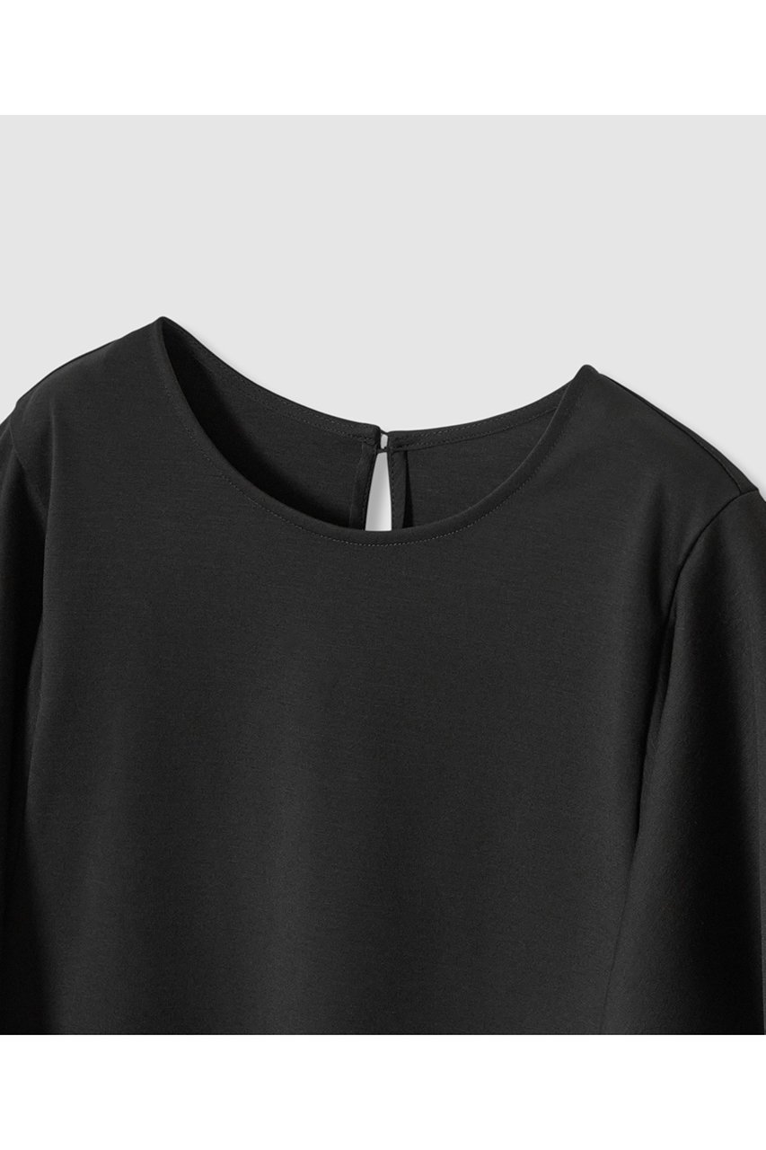 【アナイ/ANAYI】のポンチオーガン使いフレア袖 プルオーバー 人気、トレンドファッション・服の通販 founy(ファニー) 　ファッション　Fashion　レディースファッション　Fashion for Women　トップス・カットソー　Cut & Sew Tops　シャツ・ブラウス・オフィスカジュアル　Elegant Blouses & Button-Ups　ロングTシャツ・Tシャツ　Longline T-Shirts & Tees　カジュアルプルオーバー・ニットトップス　Pullovers & Knit Tops / Casual Pullovers　カットソー・ベーシックTシャツ　Cut-and-Sewn Tops / Stretch Tees & Basics　オーガンジー　Organza Fabric　ショート　Short, Short Length　シンプル　Simple, Minimal　スリーブ　Sleeve, Long Sleeve / Short Sleeve　チュール　Tulip, Tulip Motif　フレア　Flare, Flared　ラッフル　Ruffle, Frill　other-3|ID: prp329100004904954 ipo3291000000036717080