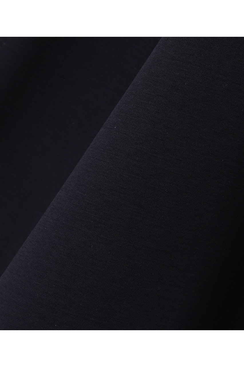 【ル フィル/LE PHIL】のハイストレッチポンチスタンドカラーブラウス 人気、トレンドファッション・服の通販 founy(ファニー) 　ファッション　Fashion　レディースファッション　Fashion for Women　トップス・カットソー　Cut & Sew Tops　シャツ・ブラウス・オフィスカジュアル　Elegant Blouses & Button-Ups　クール　Cool, Chic　コンパクト　Compact, Small Size　ストレッチ　Stretch, Stretchy Fabric　スリーブ　Sleeve, Long Sleeve / Short Sleeve　ハイネック　High Neck, Mock Neck　フレア　Flare, Flared　フロント　Front, Front Design　ロング　Long, Long-Length　エレガント 上品　Elegant　other-5|ID: prp329100004905047 ipo3291000000036718169