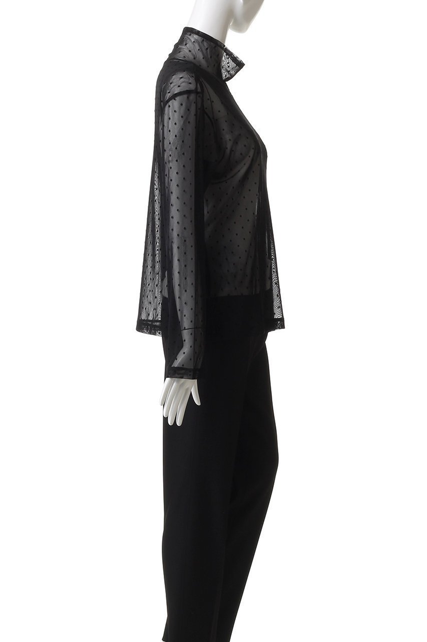 【ミズイロ インド/mizuiro ind】のメッシュドットハイネックプルオーバー 人気、トレンドファッション・服の通販 founy(ファニー) 　ファッション　Fashion　レディースファッション　Fashion for Women　トップス・カットソー　Cut & Sew Tops　シャツ・ブラウス・オフィスカジュアル　Elegant Blouses & Button-Ups　カジュアルプルオーバー・ニットトップス　Pullovers & Knit Tops / Casual Pullovers　インナー　Innerwear　キャミソール　Camisole, Spaghetti Strap Top　シンプル　Simple, Minimal　スウェット / スエット　Sweatshirt, Sweatwear　スリーブ　Sleeve, Long Sleeve / Short Sleeve　タンク　Tank Top, Sleeveless Top　ドット　Polka Dot, Dot Pattern　ハイネック　High Neck, Mock Neck　フェミニン　Feminine, Girly　メッシュ　Mesh, Net Fabric　ロング　Long, Long-Length　エレガント 上品　Elegant　other-3|ID: prp329100004905200 ipo3291000000036747411