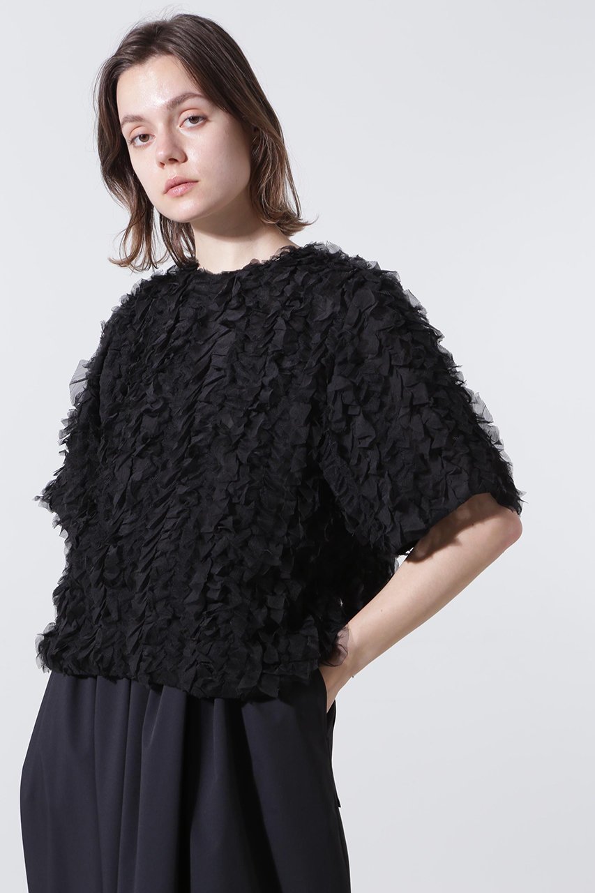 【ヒューエルミュージアム/hueLe Museum】の【hLM】フリチュリジャガードブラウス インテリア・キッズ・メンズ・レディースファッション・服の通販 founy(ファニー) 　ファッション　Fashion　レディースファッション　Fashion for Women　トップス・カットソー　Cut & Sew Tops　シャツ・ブラウス・オフィスカジュアル　Elegant Blouses & Button-Ups　エレガント 上品　Elegant　オーガンジー　Organza Fabric　ギャザー　Gathered, Ruffled　シフォン　Chiffon, Lightweight Fabric　ショート　Short, Short Length　スリーブ　Sleeve, Long Sleeve / Short Sleeve　ライニング　Inner Lining, Inner Fabric, Lined　ブラック|ID: prp329100004905415 ipo3291000000036721480