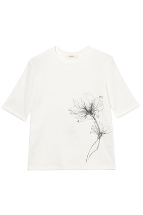 【ミラ ショーン バイ チカ キサダ/mila schon by chika kisada】のリブフルールプリントカットソー 人気、トレンドファッション・服の通販 founy(ファニー) ファッション Fashion レディースファッション Fashion for Women トップス・カットソー Cut & Sew Tops シャツ・ブラウス・オフィスカジュアル Elegant Blouses & Button-Ups ロングTシャツ・Tシャツ Longline T-Shirts & Tees カットソー・ベーシックTシャツ Cut-and-Sewn Tops / Stretch Tees & Basics ショート Short, Short Length スリーブ Sleeve, Long Sleeve / Short Sleeve フェミニン Feminine, Girly プリント Print, Printed Pattern モチーフ Motif, Design Theme |ID:prp329100004905924