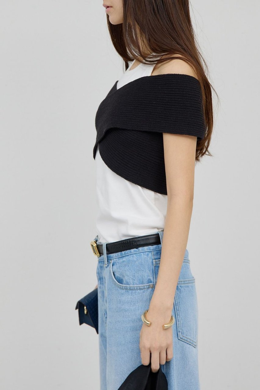 【ガリャルダガランテ/GALLARDAGALANTE】のクロスリブビスチェ 人気、トレンドファッション・服の通販 founy(ファニー) 　ファッション　Fashion　レディースファッション　Fashion for Women　トップス・カットソー　Cut & Sew Tops　ニット　Knit Tops & Sweaters　カジュアルプルオーバー・ニットトップス　Pullovers & Knit Tops / Casual Pullovers　ビスチェ　Bustiers & Corset Tops / Layered Bustier Style　カットソー　Cut and Sewn Top　コンパクト　Compact, Small Size　タンク　Tank Top, Sleeveless Top　新作・新入荷　New Arrivals / New In　other-5|ID: prp329100004906174 ipo3291000000036731771