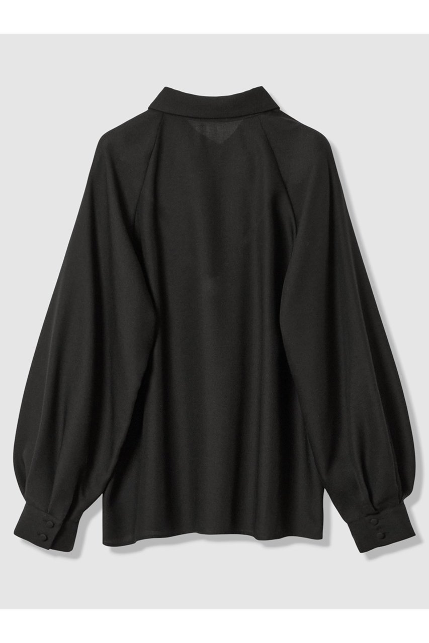 【アナイ/ANAYI】のビエラVスリットシャツ ブラウス 人気、トレンドファッション・服の通販 founy(ファニー) 　ファッション　Fashion　レディースファッション　Fashion for Women　トップス・カットソー　Cut & Sew Tops　シャツ・ブラウス・オフィスカジュアル　Elegant Blouses & Button-Ups　おすすめ　Recommended / Our Picks　シアー　Sheer, See-Through　スリット　Slit, Slit Detail　スリーブ　Sleeve, Long Sleeve / Short Sleeve　リボン　Ribbon, Bow　ロング　Long, Long-Length　other-2|ID: prp329100004906404 ipo3291000000036736131