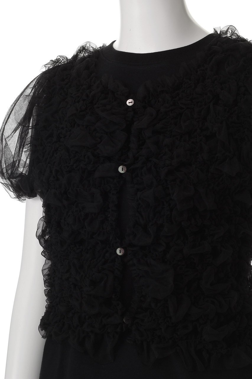 【クラネ/CLANE】のTULLE VEST LAYERED TOPS/ブラウス 人気、トレンドファッション・服の通販 founy(ファニー) 　ファッション　Fashion　レディースファッション　Fashion for Women　アウター　Coat / Outerwear Collection　トップス・カットソー　Cut & Sew Tops　シャツ・ブラウス・オフィスカジュアル　Elegant Blouses & Button-Ups　ベスト&ジレ / 重ね着スタイル　Vests & Gilets　おすすめ　Recommended / Our Picks　シアー　Sheer, See-Through　ショート　Short, Short Length　スリーブ　Sleeve, Long Sleeve / Short Sleeve　デニム　Denim, Jeans Material　パーティ　Party, Party Style　フェミニン　Feminine, Girly　other-5|ID: prp329100004906759 ipo3291000000036738840