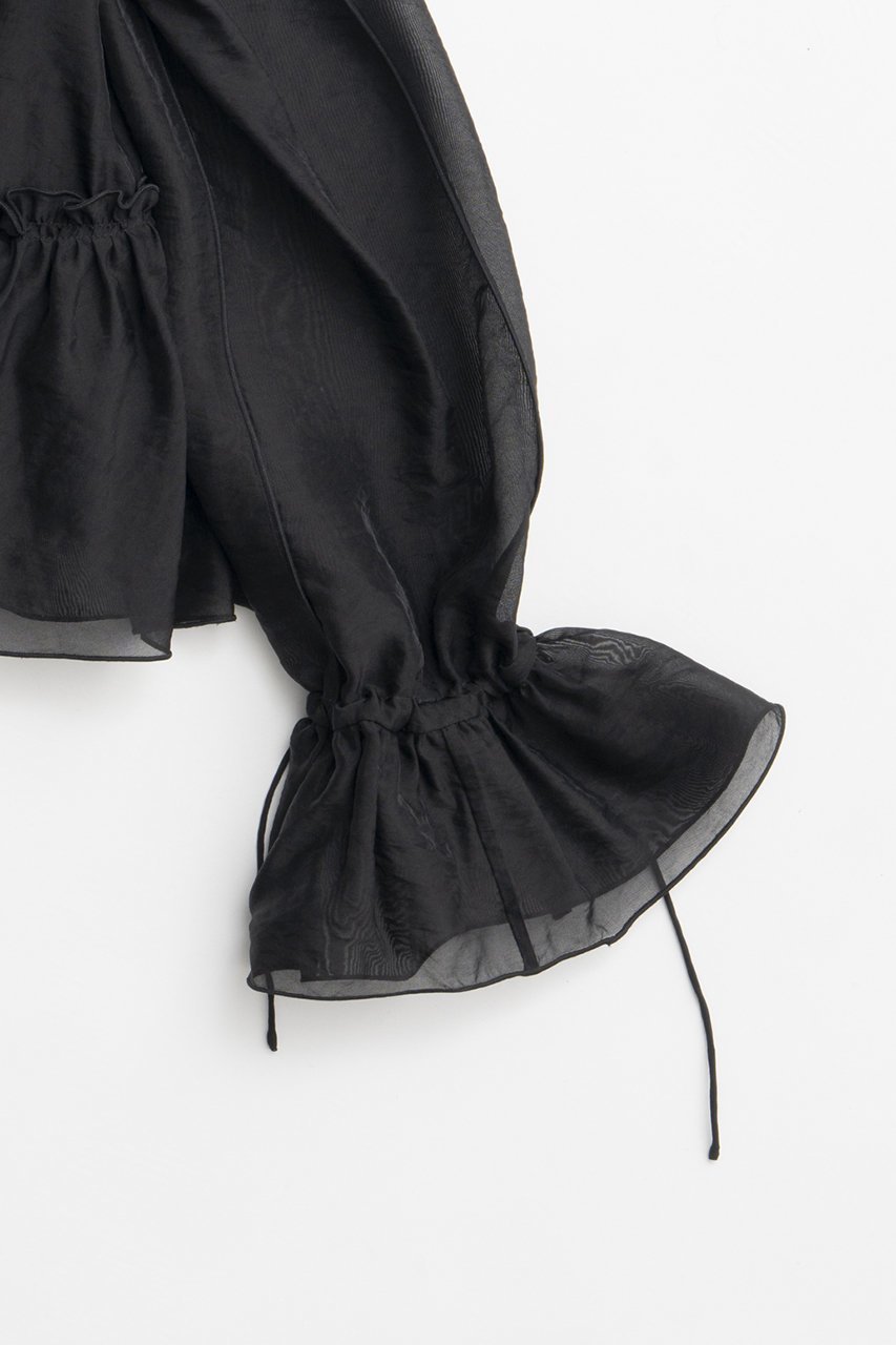 【プランク プロジェクト/PRANK PROJECT】のラッフルボウタイブラウス 人気、トレンドファッション・服の通販 founy(ファニー) 　ファッション　Fashion　レディースファッション　Fashion for Women　トップス・カットソー　Cut & Sew Tops　シャツ・ブラウス・オフィスカジュアル　Elegant Blouses & Button-Ups　おすすめ　Recommended / Our Picks　カーディガン　Cardigan, Knitwear　シアー　Sheer, See-Through　スリーブ　Sleeve, Long Sleeve / Short Sleeve　ダウン　Down, Puffer　ハーフ　Half, Half-Length　リラックス　Relax, Relaxed Fit　ロング　Long, Long-Length　今季　This Season, Current Season　定番　Standard, Basic Item　A/W・秋冬　Autumn/Winter　other-6|ID: prp329100004907124 ipo3291000000036742790