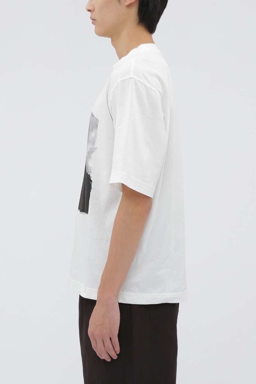 【その他のブランド/Other】のLIGHT COTTON JERSEY TOP 人気、トレンドファッション・服の通販 founy(ファニー) 　ファッション　Fashion　レディースファッション　Fashion for Women　トップス・カットソー　Cut & Sew Tops　シャツ・ブラウス・オフィスカジュアル　Elegant Blouses & Button-Ups　ロングTシャツ・Tシャツ　Longline T-Shirts & Tees　カットソー・ベーシックTシャツ　Cut-and-Sewn Tops / Stretch Tees & Basics　ショート　Short, Short Length　シルク　Silk, 100% Silk　ストライプ　Stripe, Striped Pattern　スリーブ　Sleeve, Long Sleeve / Short Sleeve　ブロック　Block, Solid Block Pattern　プリント　Print, Printed Pattern　エレガント 上品　Elegant　新作・新入荷　New Arrivals / New In　other-4|ID: prp329100004909232 ipo3291000000036774627