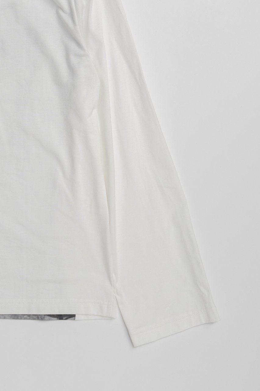 【プランク プロジェクト/PRANK PROJECT】のチュールビスチェプリントロンTEE 人気、トレンドファッション・服の通販 founy(ファニー) 　ファッション　Fashion　レディースファッション　Fashion for Women　トップス・カットソー　Cut & Sew Tops　シャツ・ブラウス・オフィスカジュアル　Elegant Blouses & Button-Ups　ロングTシャツ・Tシャツ　Longline T-Shirts & Tees　カットソー・ベーシックTシャツ　Cut-and-Sewn Tops / Stretch Tees & Basics　ビスチェ　Bustiers & Corset Tops / Layered Bustier Style　グラフィック　Graphic, Graphic Design　シンプル　Simple, Minimal　ジャケット　Jacket, Outerwear　スリーブ　Sleeve, Long Sleeve / Short Sleeve　プリント　Print, Printed Pattern　ベーシック　Basic, Essential　ミックス　Mix, Mixed Style　リアル　Real, Realistic　レース　Lace, Lace Fabric　ロング　Long, Long-Length　other-6|ID: prp329100004910622 ipo3291000000036793618