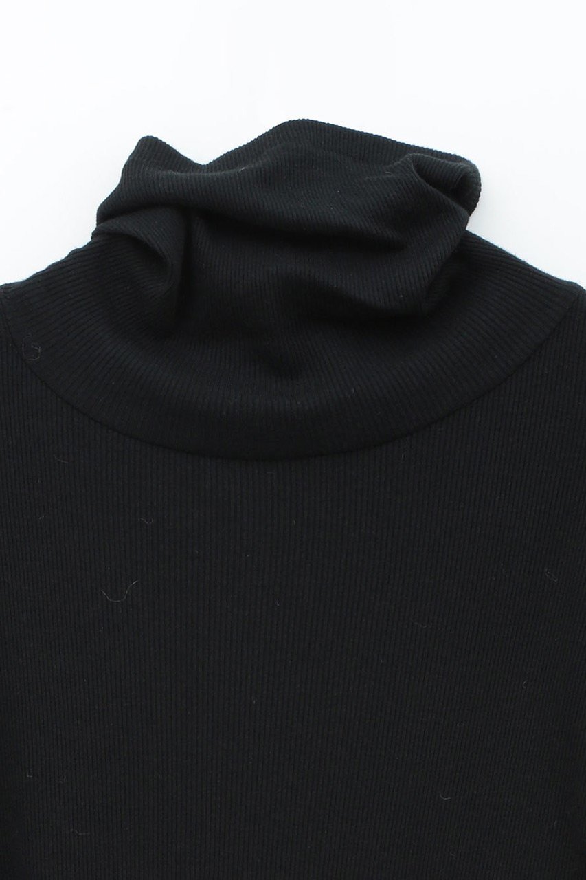 【ハー/HER.】のテレコタートルネックトップス 人気、トレンドファッション・服の通販 founy(ファニー) 　ファッション　Fashion　レディースファッション　Fashion for Women　トップス・カットソー　Cut & Sew Tops　シャツ・ブラウス・オフィスカジュアル　Elegant Blouses & Button-Ups　ロングTシャツ・Tシャツ　Longline T-Shirts & Tees　カットソー・ベーシックTシャツ　Cut-and-Sewn Tops / Stretch Tees & Basics　タートルネック・ハイネックトップス　Turtlenecks & High-Neck Tops　インナー　Innerwear　カットソー　Cut and Sewn Top　スリーブ　Sleeve, Long Sleeve / Short Sleeve　タートルネック　Turtleneck, High Neck　ロング　Long, Long-Length　冬　Winter / This Winter　other-2|ID: prp329100004914371 ipo3291000000036829650