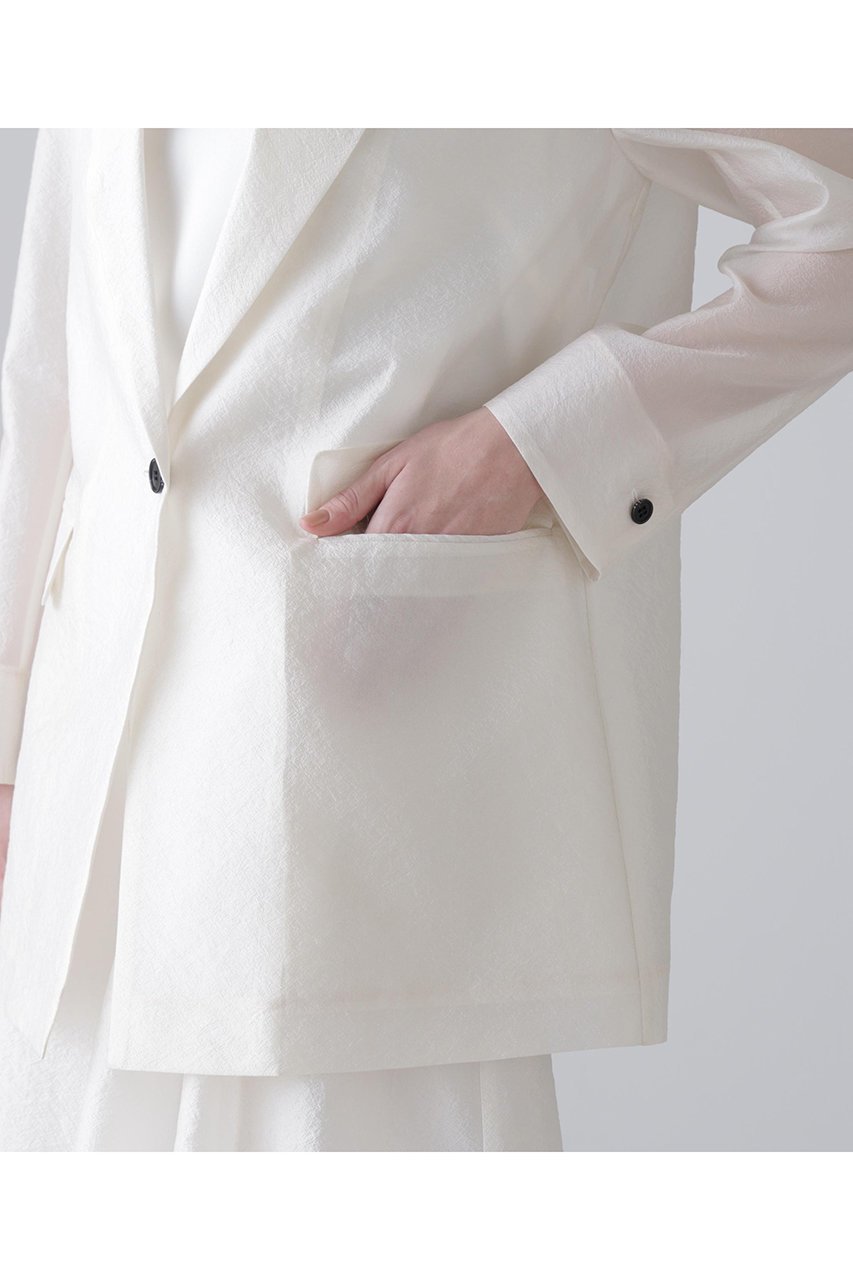 【アドーア/ADORE】のシルキーオーガンザジャケット 人気、トレンドファッション・服の通販 founy(ファニー) ファッション Fashion レディースファッション Fashion for Women アウター Coat / Outerwear Collection レディースジャケット・軽アウター Jackets オーガンジー Organza Fabric ジャケット Jacket, Outerwear テーラード Tailored, Tailored Fit ルーズ Loose, Oversized other-8|ID: prp329100004914940 ipo3291000000036837448