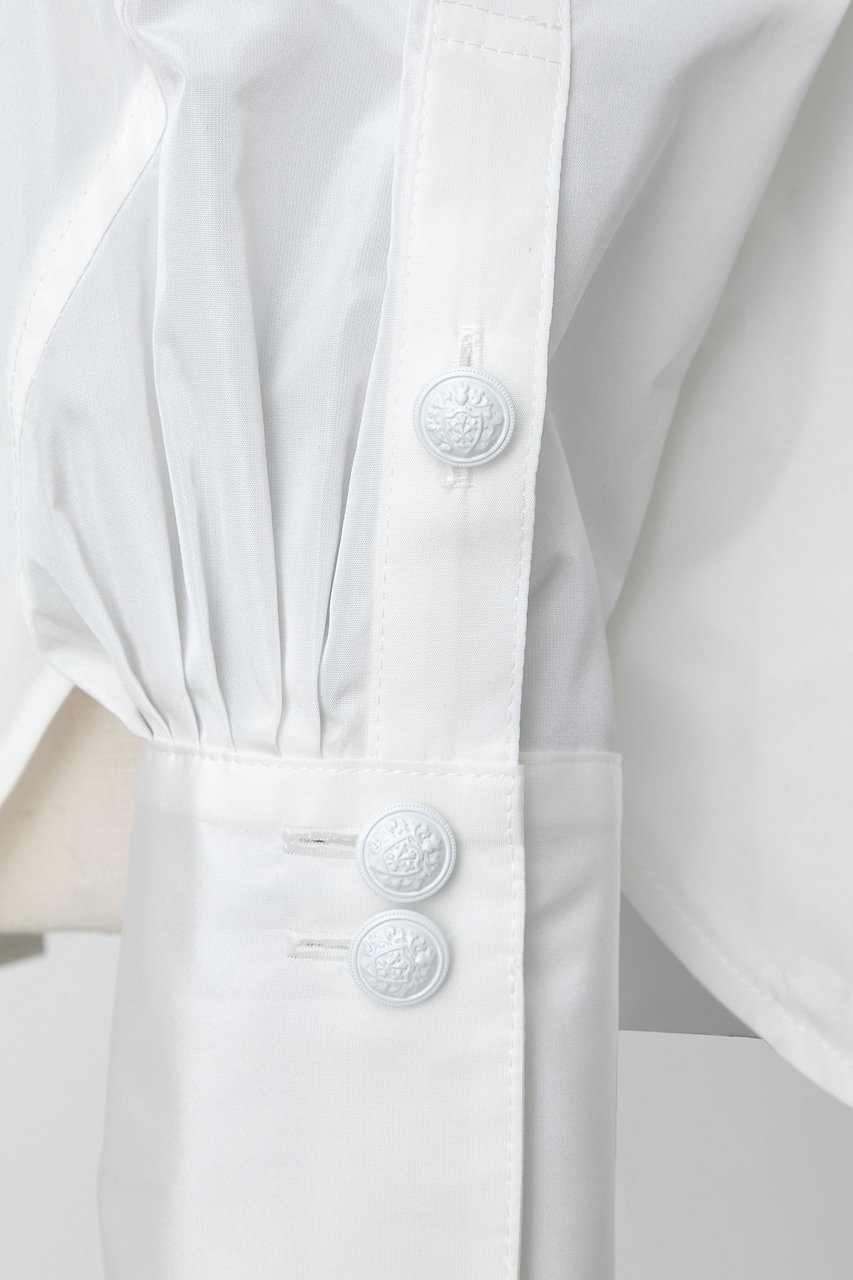 【オーヴィル/EAUVIRE】のドルマンスリーブシャツ 人気、トレンドファッション・服の通販 founy(ファニー) 　ファッション　Fashion　レディースファッション　Fashion for Women　トップス・カットソー　Cut & Sew Tops　シャツ・ブラウス・オフィスカジュアル　Elegant Blouses & Button-Ups　シルク　Silk, 100% Silk　スリーブ　Sleeve, Long Sleeve / Short Sleeve　タフタ　Taffeta, Structured Fabric　ロング　Long, Long-Length　エレガント 上品　Elegant　定番　Standard, Basic Item　other-7|ID: prp329100004917677 ipo3291000000036876583