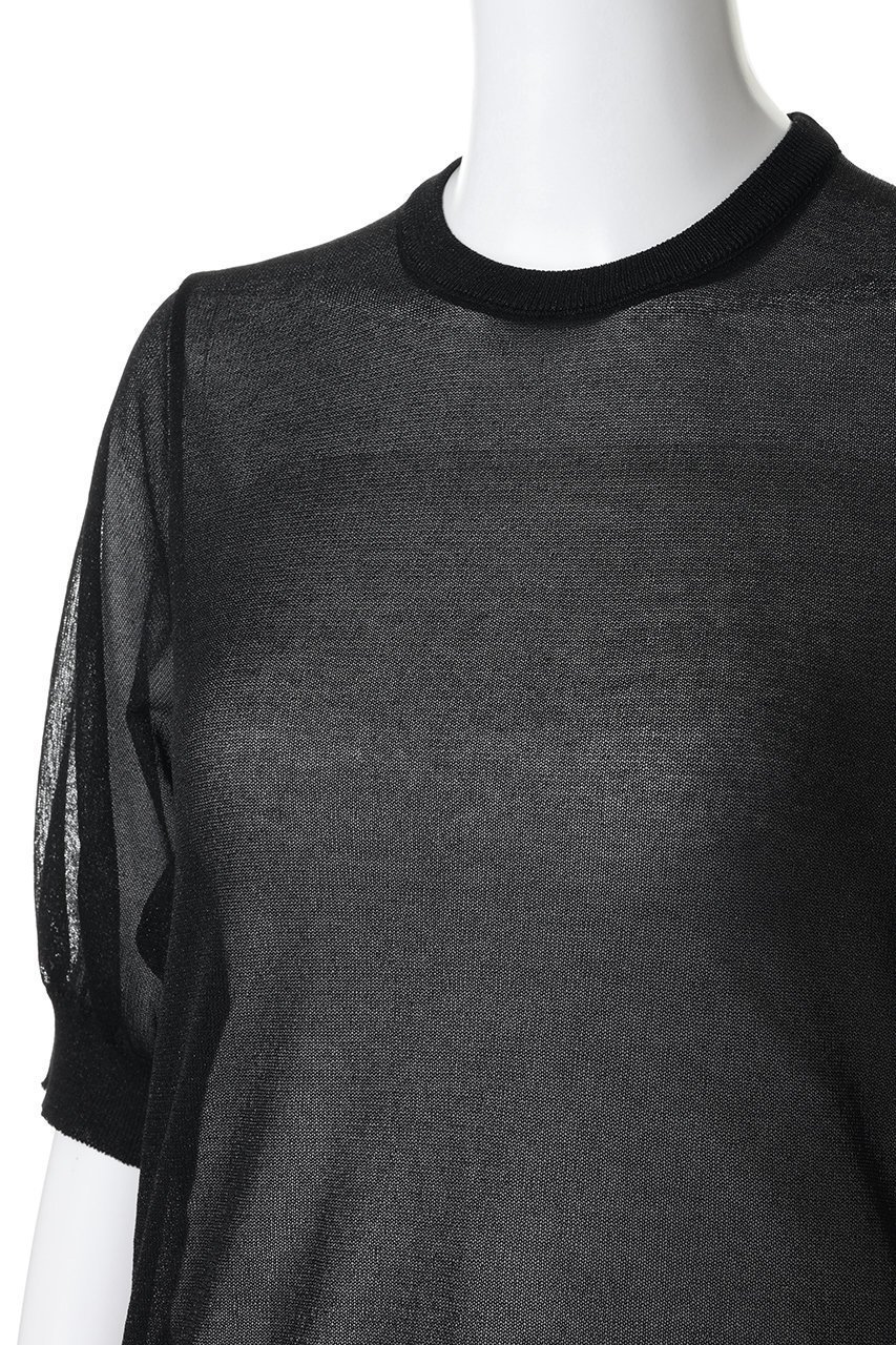 【スローン/SLOANE】の12G二重臼天竺 ラメシアー半袖クルーネック 人気、トレンドファッション・服の通販 founy(ファニー) 　ファッション　Fashion　レディースファッション　Fashion for Women　トップス・カットソー　Cut & Sew Tops　シャツ・ブラウス・オフィスカジュアル　Elegant Blouses & Button-Ups　シアー　Sheer, See-Through　ショート　Short, Short Length　スリーブ　Sleeve, Long Sleeve / Short Sleeve　半袖　Short Sleeve, Half Sleeve　other-5|ID: prp329100004917839 ipo3291000000036878458