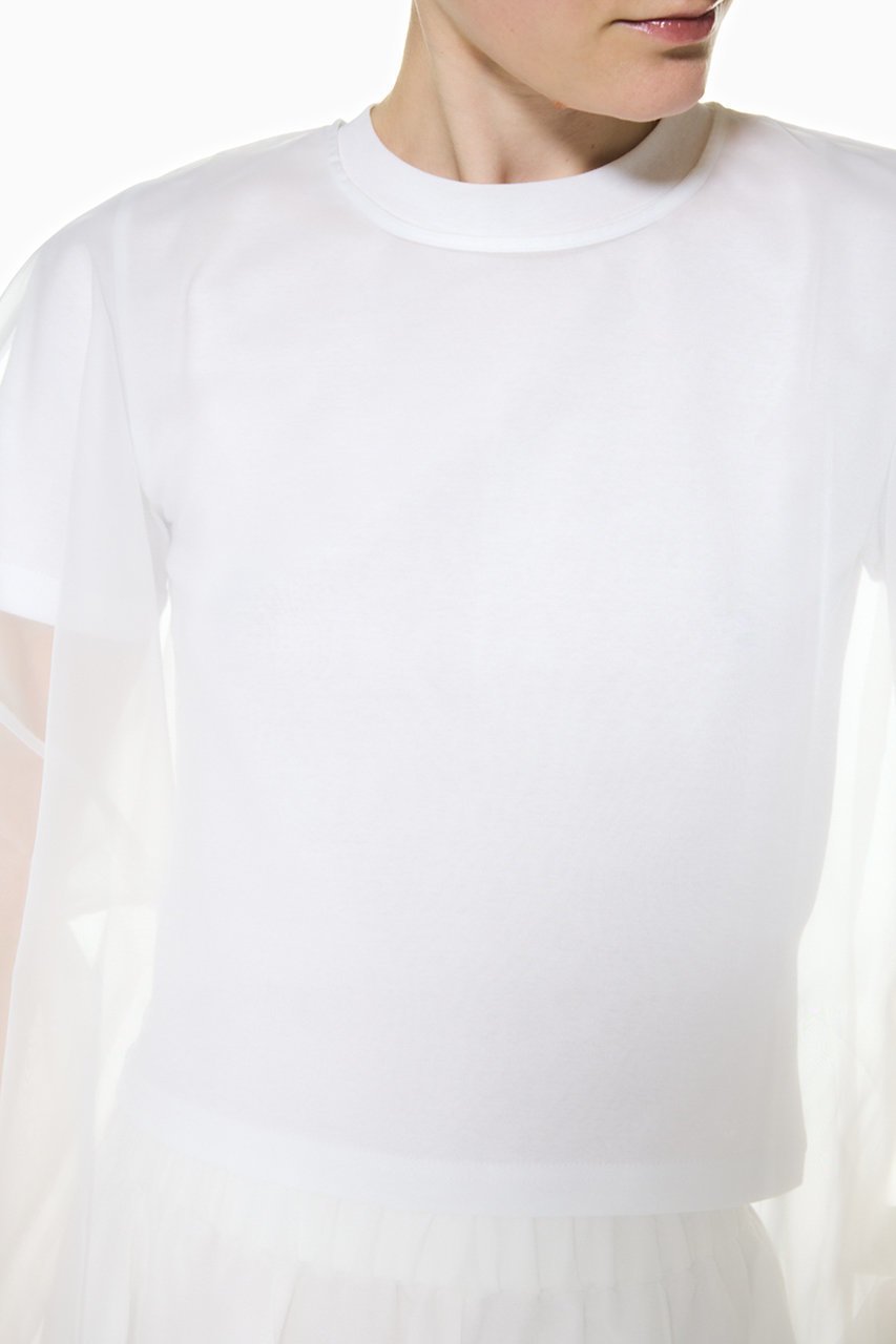 【エンフォルド/ENFOLD】の【4/15 12:00販売開始】SHEER LAYERED T-SHIRT 人気、トレンドファッション・服の通販 founy(ファニー) 　ファッション　Fashion　レディースファッション　Fashion for Women　トップス・カットソー　Cut & Sew Tops　シャツ・ブラウス・オフィスカジュアル　Elegant Blouses & Button-Ups　ロングTシャツ・Tシャツ　Longline T-Shirts & Tees　カットソー・ベーシックTシャツ　Cut-and-Sewn Tops / Stretch Tees & Basics　オーガンジー　Organza Fabric　クロップド　Cropped, Short Length　コンパクト　Compact, Small Size　シアー　Sheer, See-Through　シフォン　Chiffon, Lightweight Fabric　ショート　Short, Short Length　スリーブ　Sleeve, Long Sleeve / Short Sleeve　バランス　Balance, Style Balance　エレガント 上品　Elegant　夏　Summer　新作・新入荷　New Arrivals / New In　春　Spring　S/S・春夏　SS, Spring/Summer, Warm Season　other-4|ID: prp329100004919478 ipo3291000000036905833