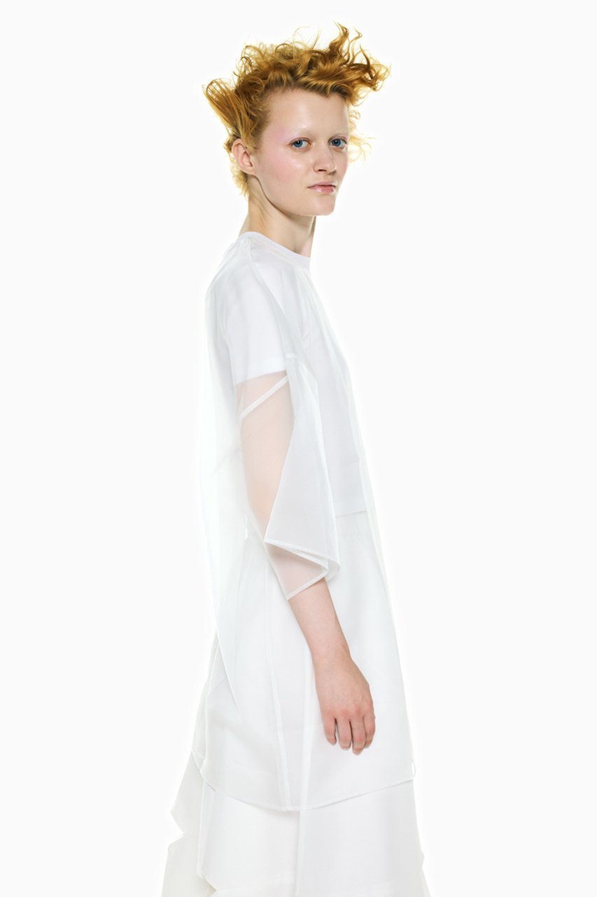 【エンフォルド/ENFOLD】の【4/15 12:00販売開始】SHEER LAYERED T-SHIRT 人気、トレンドファッション・服の通販 founy(ファニー) 　ファッション　Fashion　レディースファッション　Fashion for Women　トップス・カットソー　Cut & Sew Tops　シャツ・ブラウス・オフィスカジュアル　Elegant Blouses & Button-Ups　ロングTシャツ・Tシャツ　Longline T-Shirts & Tees　カットソー・ベーシックTシャツ　Cut-and-Sewn Tops / Stretch Tees & Basics　オーガンジー　Organza Fabric　クロップド　Cropped, Short Length　コンパクト　Compact, Small Size　シアー　Sheer, See-Through　シフォン　Chiffon, Lightweight Fabric　ショート　Short, Short Length　スリーブ　Sleeve, Long Sleeve / Short Sleeve　バランス　Balance, Style Balance　エレガント 上品　Elegant　夏　Summer　新作・新入荷　New Arrivals / New In　春　Spring　S/S・春夏　SS, Spring/Summer, Warm Season　other-5|ID: prp329100004919478 ipo3291000000036905834