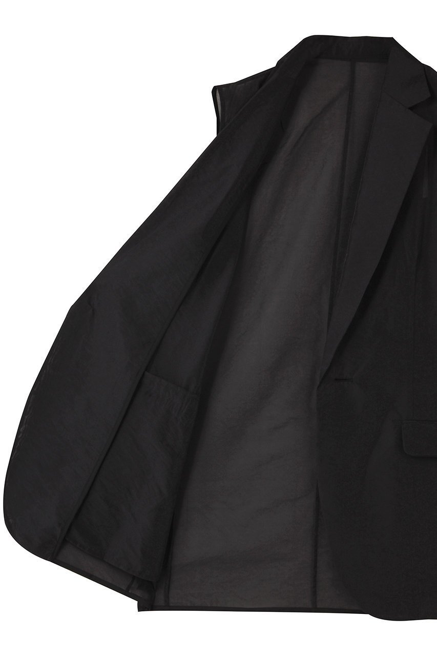 【アンクレイヴ/uncrave】のシアーオーガンジー テーラードジレ 人気、トレンドファッション・服の通販 founy(ファニー) 　ファッション　Fashion　レディースファッション　Fashion for Women　アウター　Coat / Outerwear Collection　レディースジャケット・軽アウター　Jackets　エアリー　Airy Texture　シアー　Sheer, See-Through　シンプル　Simple, Minimal　ジャケット　Jacket, Outerwear　ブライト　Bright, Shiny　ベスト　Vest, Waistcoat　エレガント 上品　Elegant　other-6|ID: prp329100004919568 ipo3291000000036907970