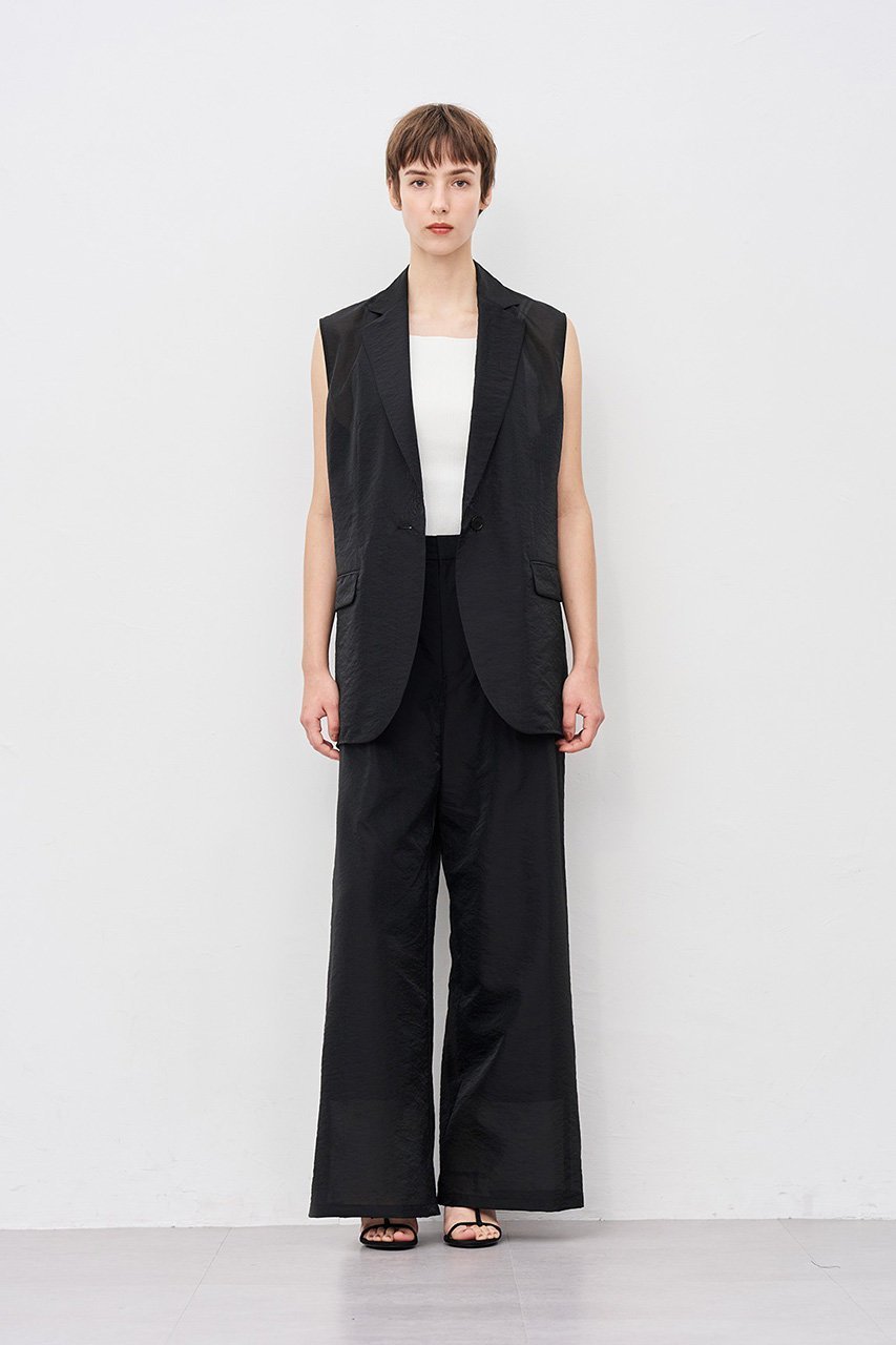 【アンクレイヴ/uncrave】のシアーオーガンジー テーラードジレ 人気、トレンドファッション・服の通販 founy(ファニー) 　ファッション　Fashion　レディースファッション　Fashion for Women　アウター　Coat / Outerwear Collection　レディースジャケット・軽アウター　Jackets　エアリー　Airy Texture　シアー　Sheer, See-Through　シンプル　Simple, Minimal　ジャケット　Jacket, Outerwear　ブライト　Bright, Shiny　ベスト　Vest, Waistcoat　エレガント 上品　Elegant　other-8|ID: prp329100004919568 ipo3291000000036907972