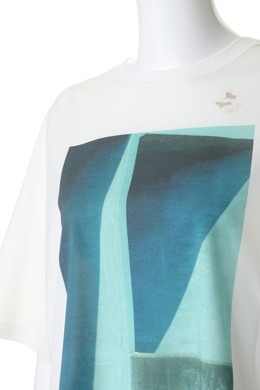 【ガリャルダガランテ/GALLARDAGALANTE】の【PEAS】フォトTee 人気、トレンドファッション・服の通販 founy(ファニー) 　ファッション　Fashion　レディースファッション　Fashion for Women　トップス・カットソー　Cut & Sew Tops　シャツ・ブラウス・オフィスカジュアル　Elegant Blouses & Button-Ups　ロングTシャツ・Tシャツ　Longline T-Shirts & Tees　カットソー・ベーシックTシャツ　Cut-and-Sewn Tops / Stretch Tees & Basics　ショート　Short, Short Length　スラックス　Slacks, Dress Pants　スリーブ　Sleeve, Long Sleeve / Short Sleeve　デニム　Denim, Jeans Material　フロント　Front, Front Design　プリント　Print, Printed Pattern　新作・新入荷　New Arrivals / New In　other-5|ID: prp329100004922618 ipo3291000000036936084