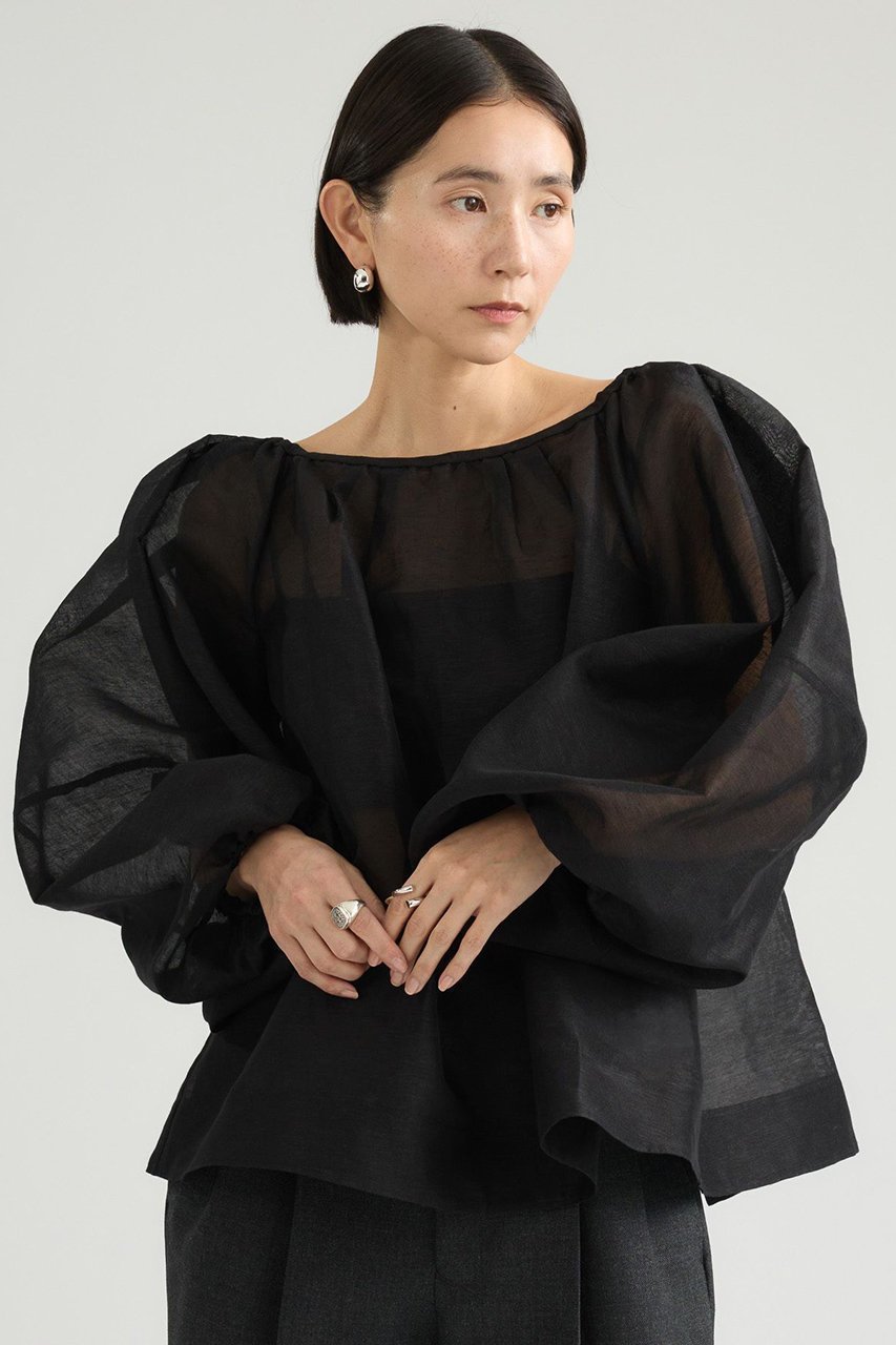 【カオス/Chaos】のカーラブランブラウス 人気、トレンドファッション・服の通販 founy(ファニー) 　ファッション　Fashion　レディースファッション　Fashion for Women　トップス・カットソー　Cut & Sew Tops　シャツ・ブラウス・オフィスカジュアル　Elegant Blouses & Button-Ups　オーガンジー　Organza Fabric　シアー　Sheer, See-Through　シルク　Silk, 100% Silk　スリーブ　Sleeve, Long Sleeve / Short Sleeve　パターン　Pattern, Design Print　リネン　Linen, Linen Fabric　ロング　Long, Long-Length　新作・新入荷　New Arrivals / New In　other-2|ID: prp329100004923159 ipo3291000000036940628