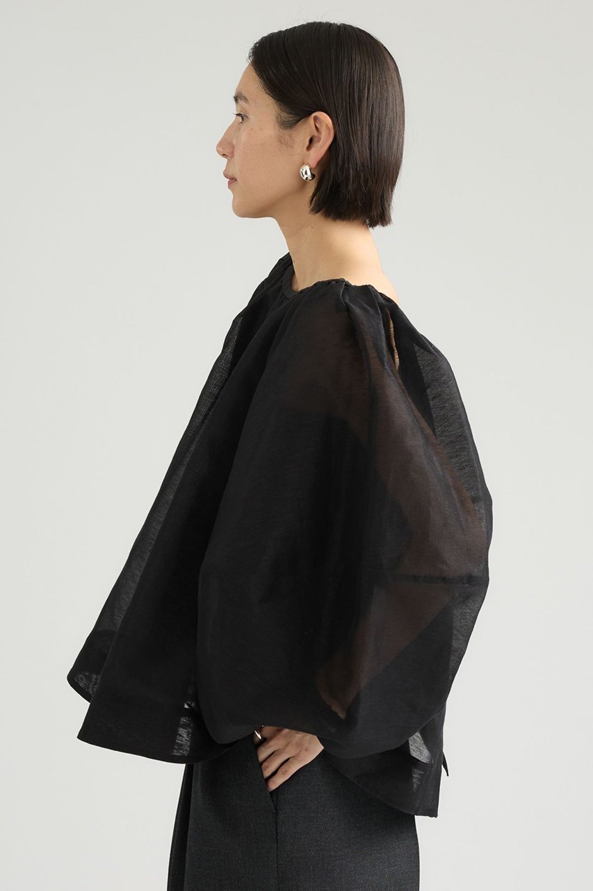 【カオス/Chaos】のカーラブランブラウス 人気、トレンドファッション・服の通販 founy(ファニー) 　ファッション　Fashion　レディースファッション　Fashion for Women　トップス・カットソー　Cut & Sew Tops　シャツ・ブラウス・オフィスカジュアル　Elegant Blouses & Button-Ups　オーガンジー　Organza Fabric　シアー　Sheer, See-Through　シルク　Silk, 100% Silk　スリーブ　Sleeve, Long Sleeve / Short Sleeve　パターン　Pattern, Design Print　リネン　Linen, Linen Fabric　ロング　Long, Long-Length　新作・新入荷　New Arrivals / New In　other-3|ID: prp329100004923159 ipo3291000000036940630