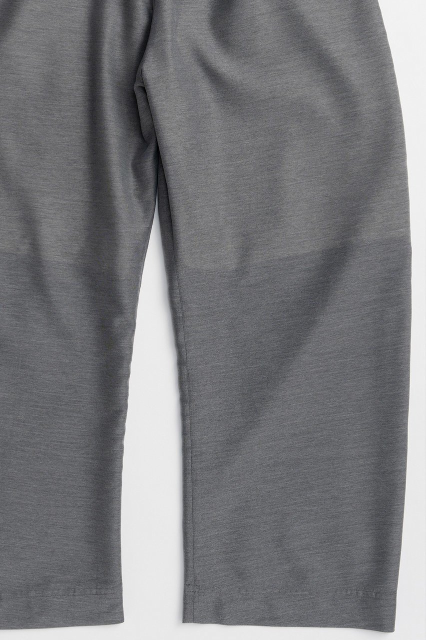 【メゾンスペシャル/MAISON SPECIAL】のSheer Suiting Easy Pants/シアースーチングイージーパンツ 人気、トレンドファッション・服の通販 founy(ファニー) 　ファッション　Fashion　レディースファッション　Fashion for Women　パンツ　Pants & Trousers　サマー　Summer, Summer Style　ジャケット　Jacket, Outerwear　セットアップ　Set-Up, Coordinated Outfit　バルーン　Balloon, Balloon Silhouette　リラックス　Relax, Relaxed Fit　エレガント 上品　Elegant　再入荷　Restock / Back in Stock　半袖　Short Sleeve, Half Sleeve　夏　Summer　other-6|ID: prp329100004923566 ipo3291000000036943791