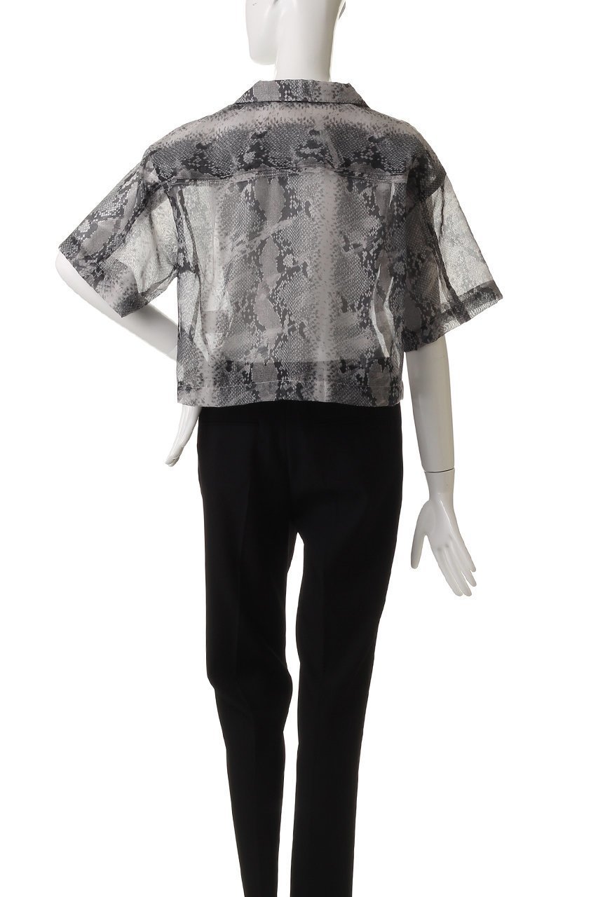 【プランク プロジェクト/PRANK PROJECT】のパイソンプリントシアーシャツ / Python Print Sheer Shirt 人気、トレンドファッション・服の通販 founy(ファニー) 　ファッション　Fashion　レディースファッション　Fashion for Women　トップス・カットソー　Cut & Sew Tops　シャツ・ブラウス・オフィスカジュアル　Elegant Blouses & Button-Ups　シアー　Sheer, See-Through　ショート　Short, Short Length　スリーブ　Sleeve, Long Sleeve / Short Sleeve　バランス　Balance, Style Balance　ボトム　Bottoms, Lower Wear　夏　Summer　other-4|ID: prp329100004925235 ipo3291000000036958692
